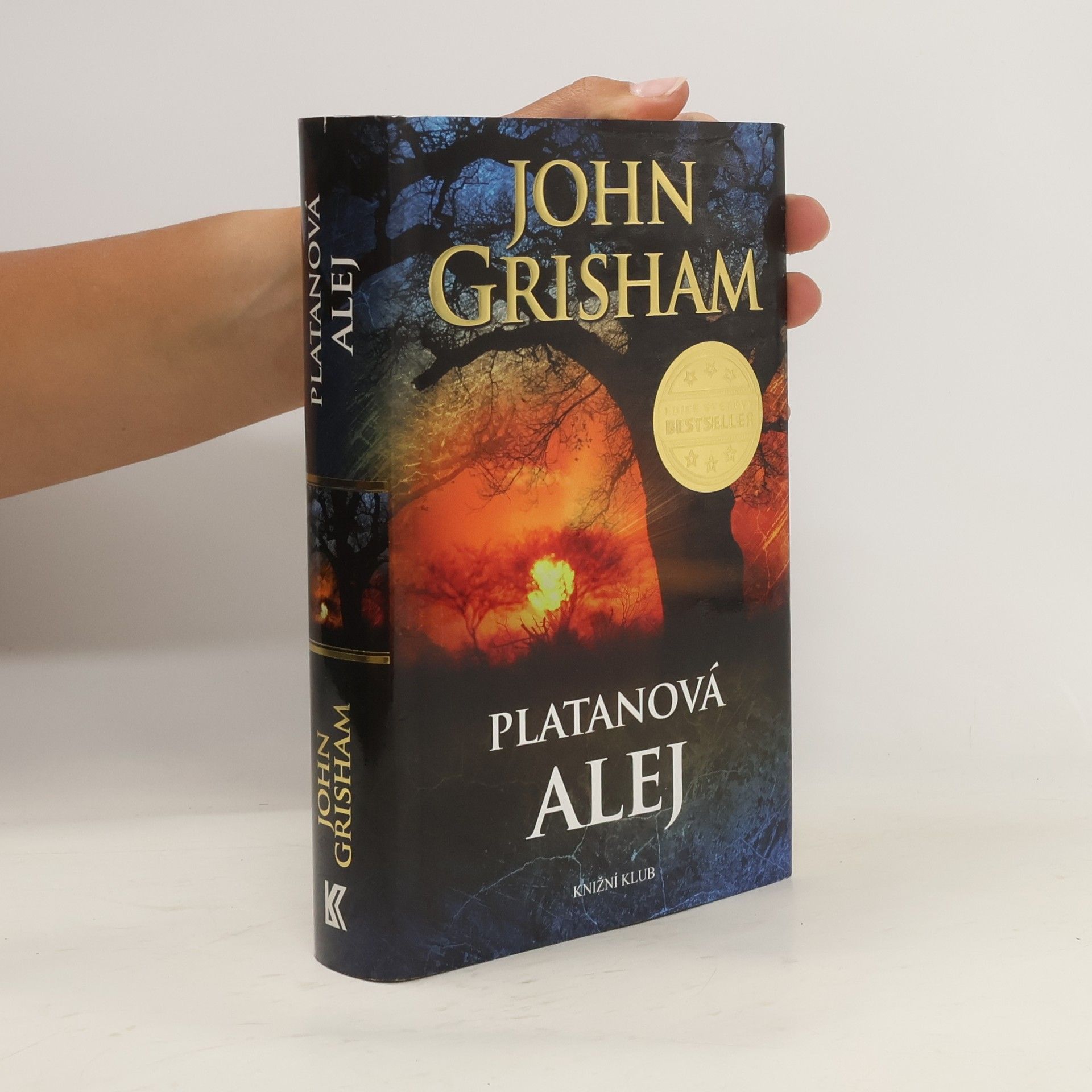John Grisham Platanová alej