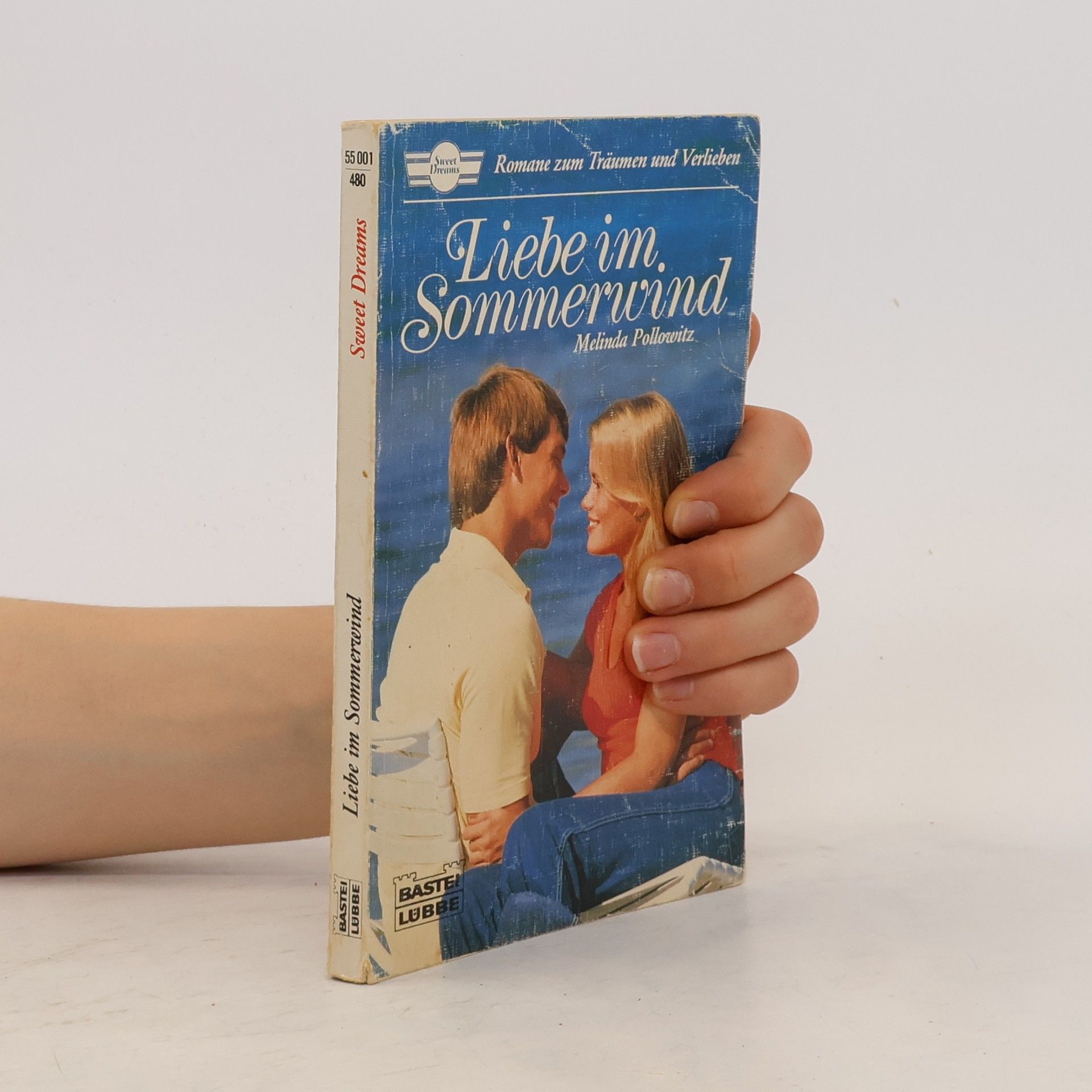 Melinda Pollowitz Liebe im Sommerwind