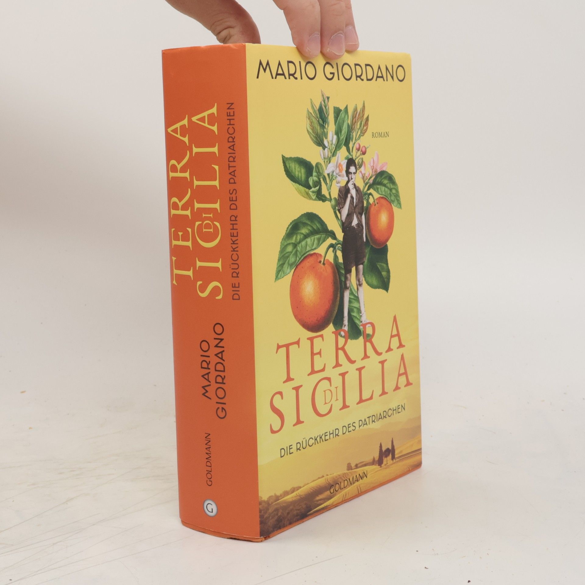 Mario Giordano Terra di Sicilia - die Rückkehr des Patriarchen