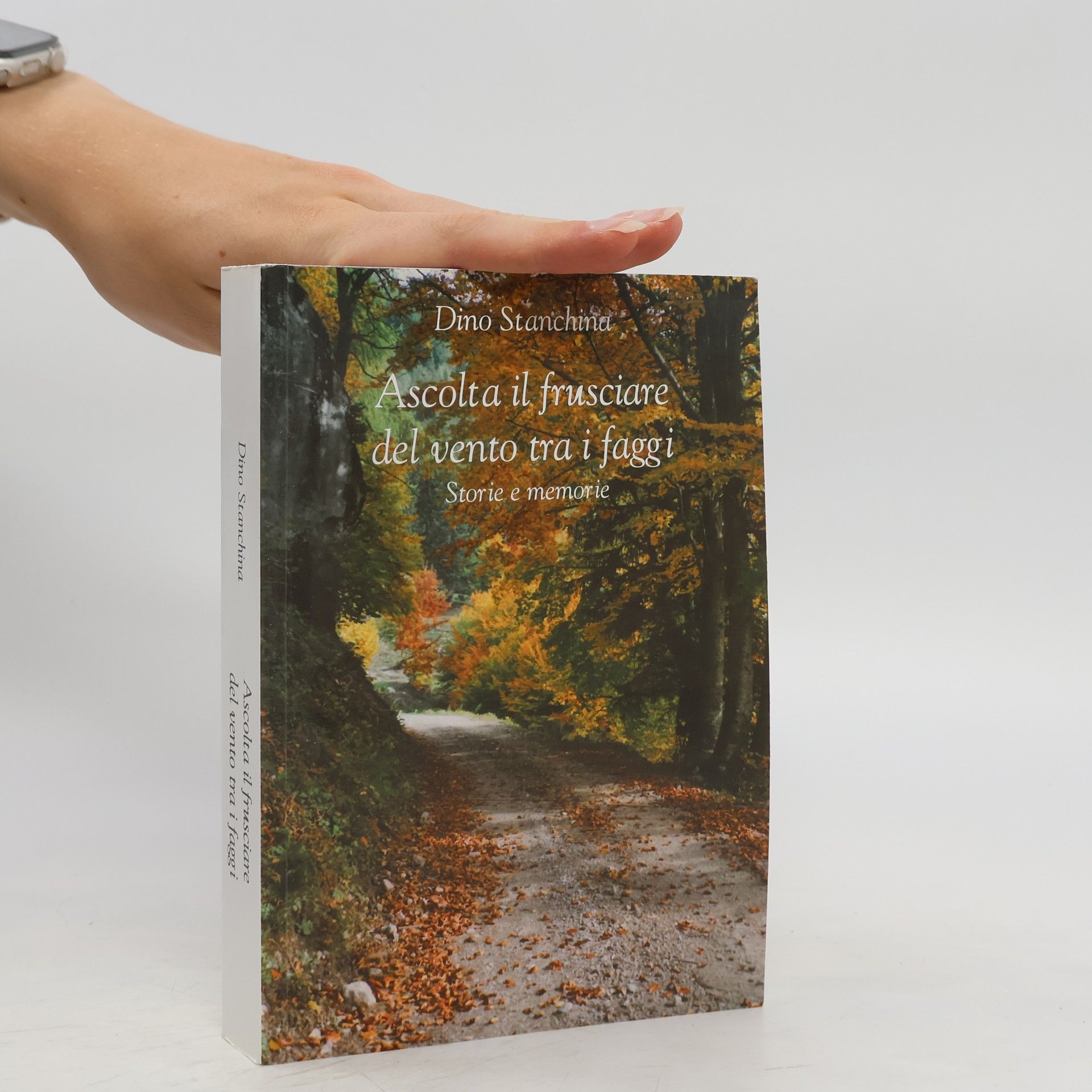 Dino Stanchina Ascolta il frusciare del vento tra i faggi