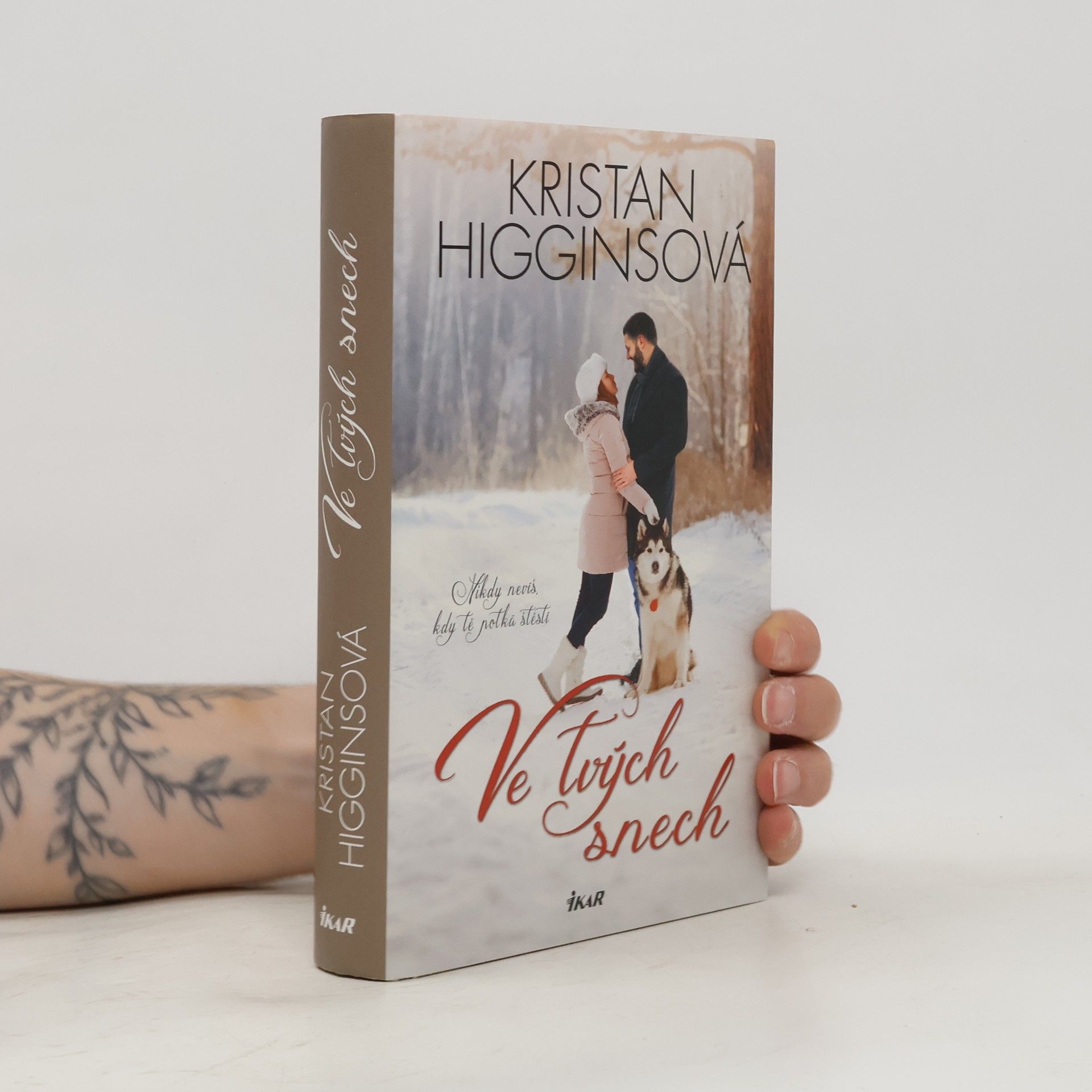 Kristan Higgins Ve tvých snech