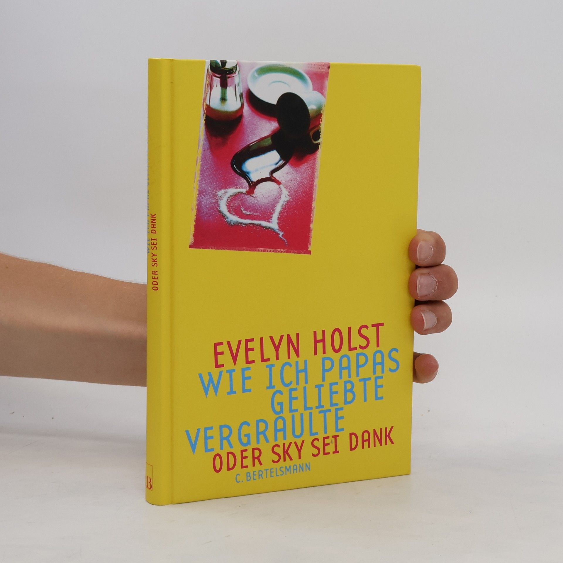 Evelyn Holst Wie ich Papas Geliebte vergraulte oder Sky sei Dank