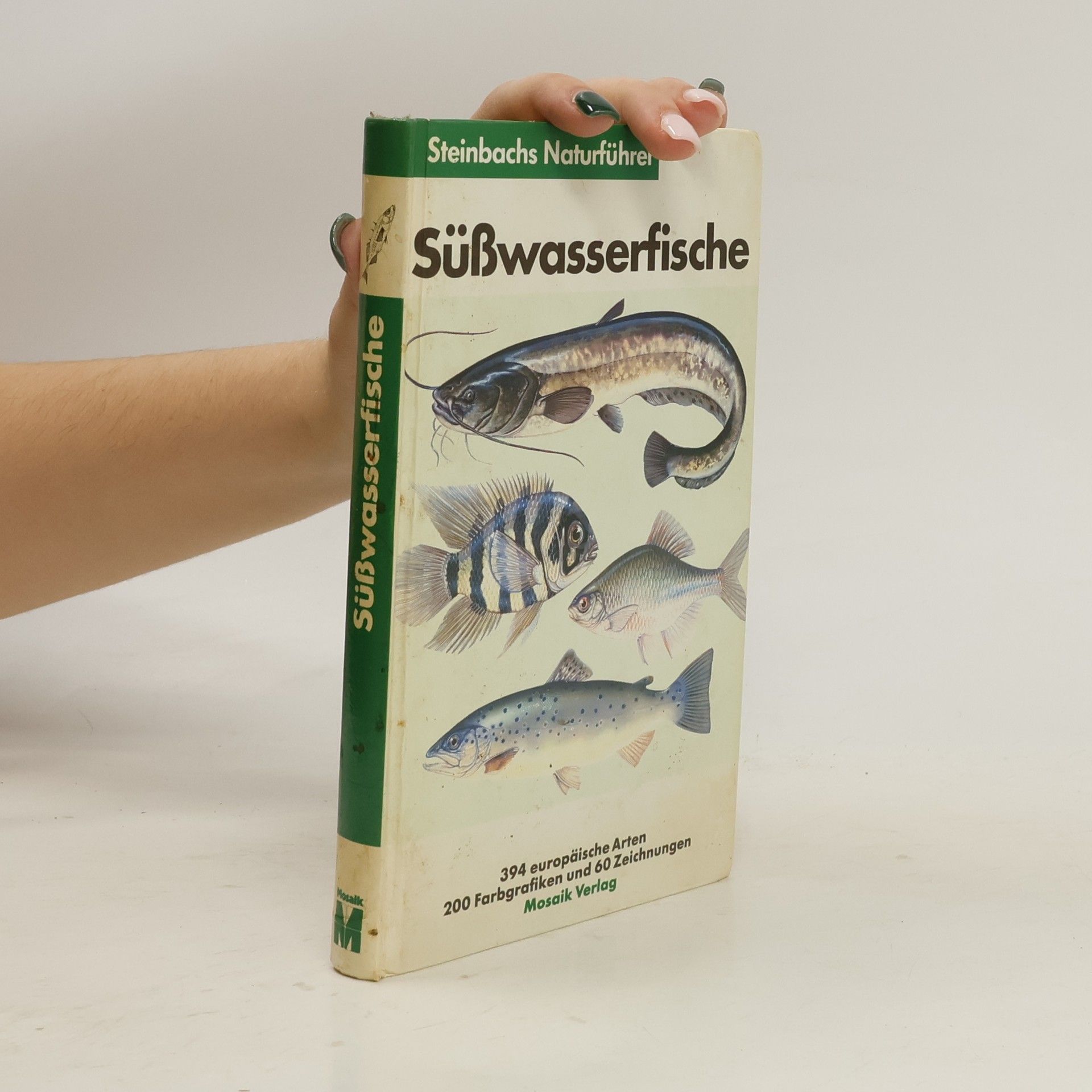 Collectif d'auteurs Süßwasserfische