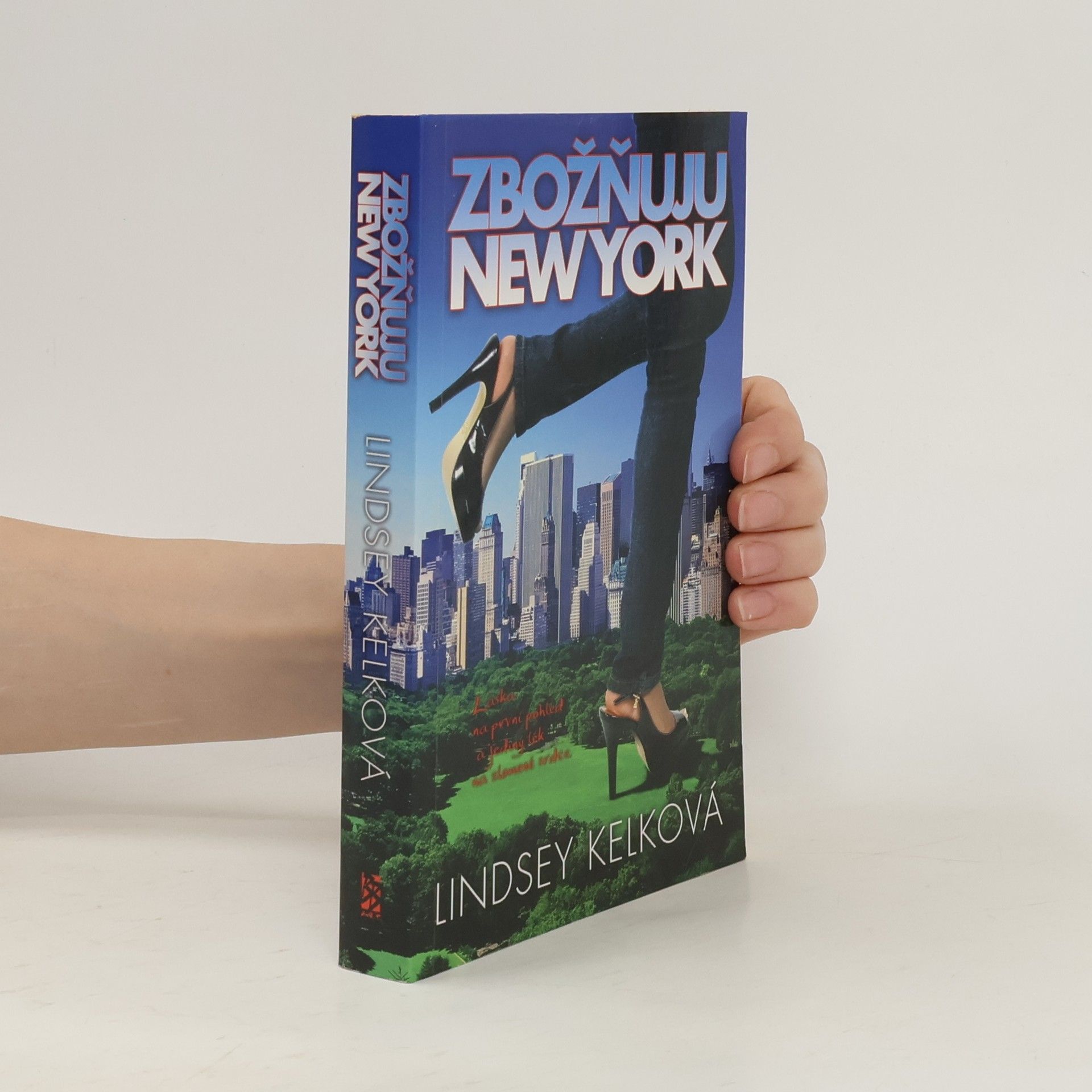 Lindsey Kelk Zbožňuju New York