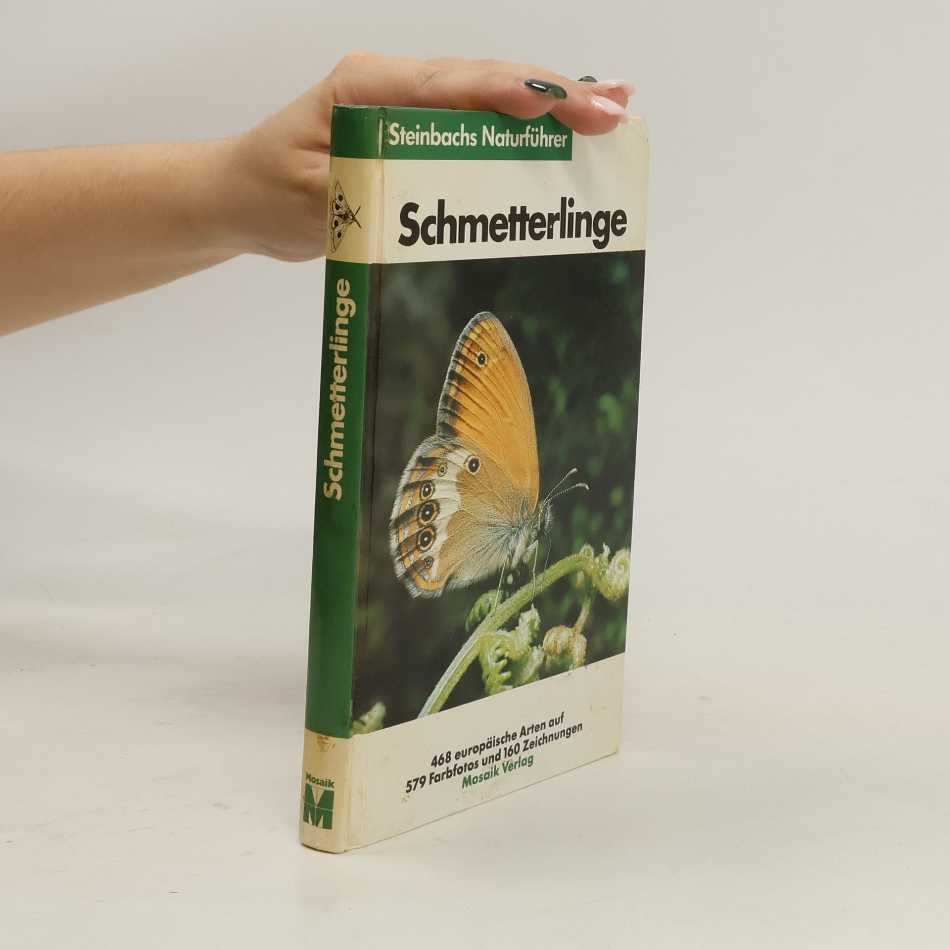 kolektiv Schmetterlinge