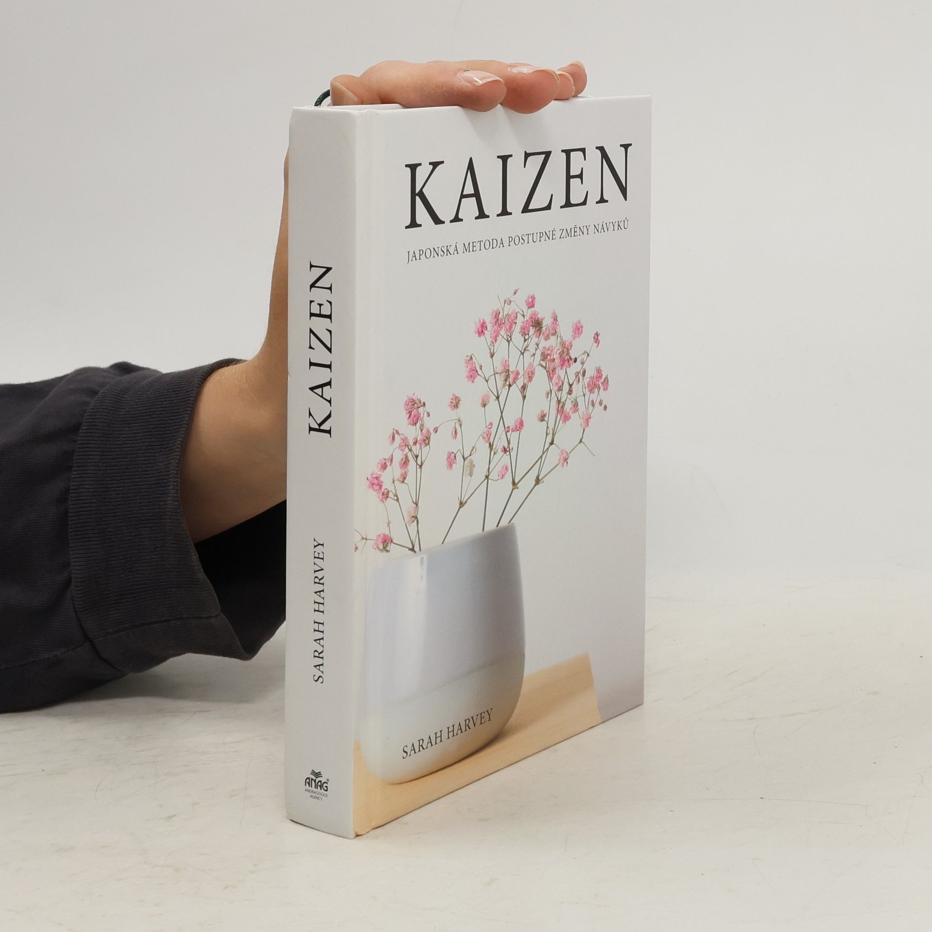Sarah Harvey Kaizen: Japonská metoda postupné změny návyků