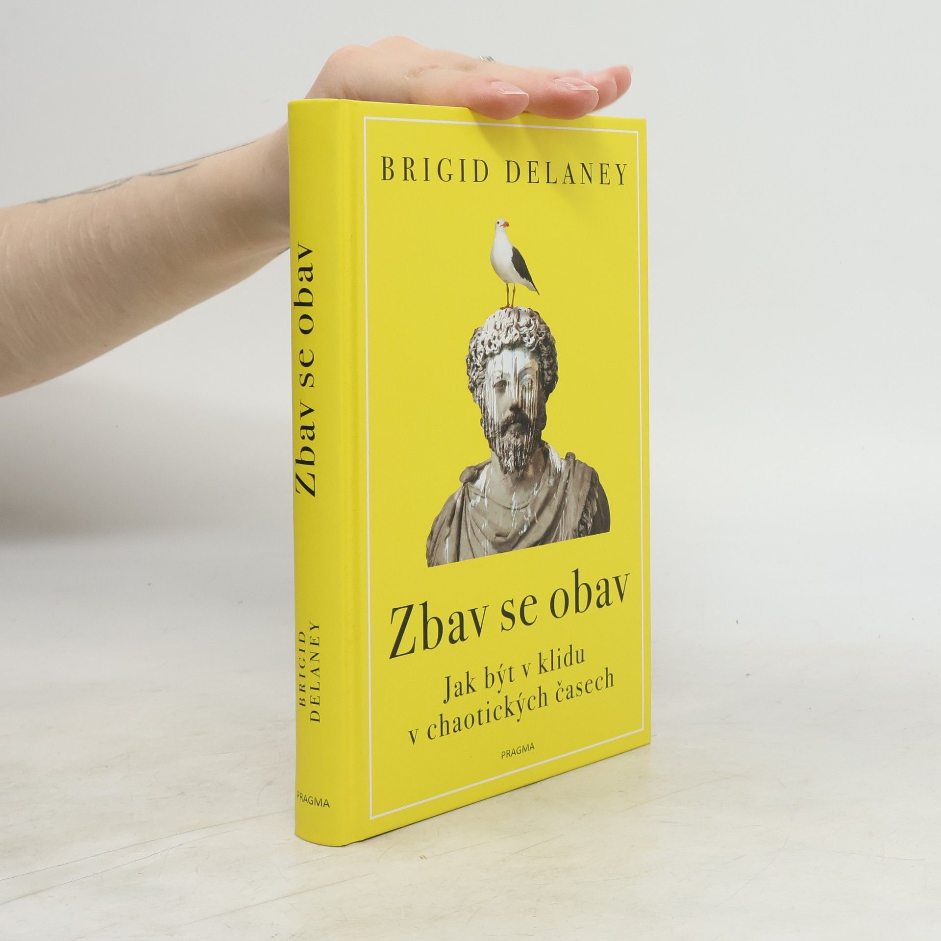 Brigid Delaney Zbav se obav. Jak být v klidu v chaotických časech