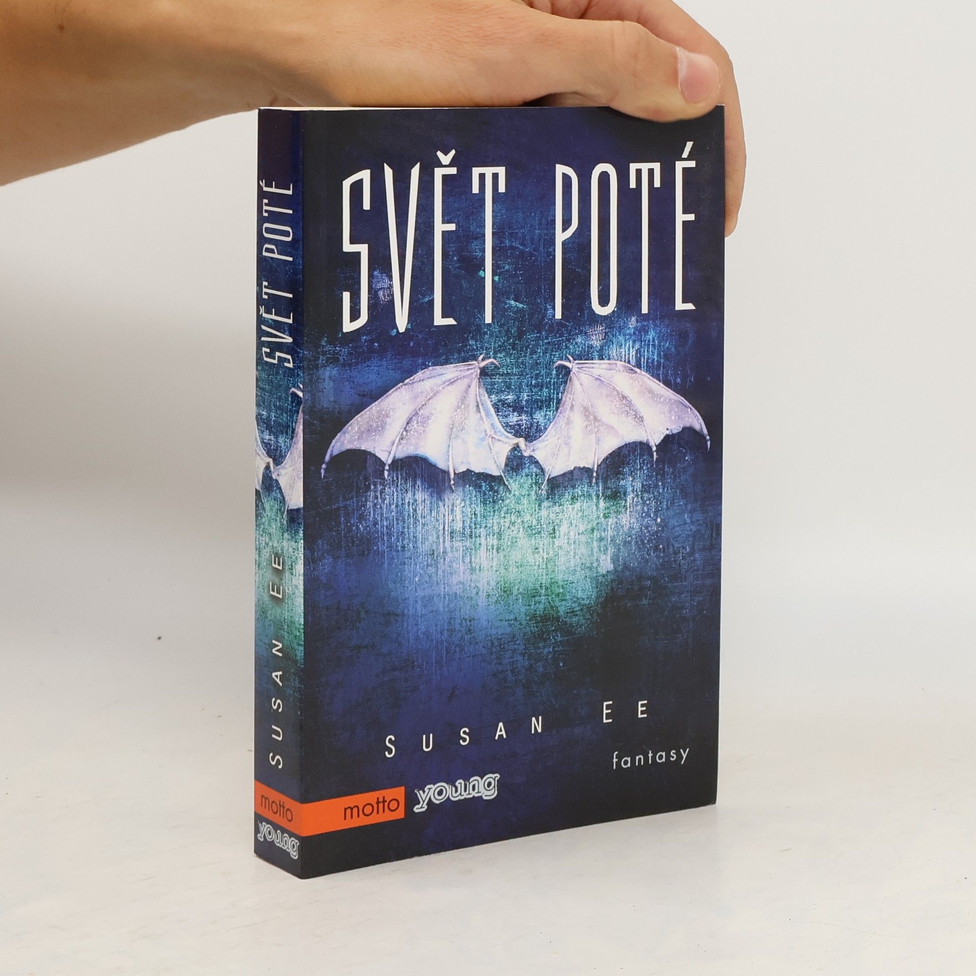 Susan Ee Svět poté