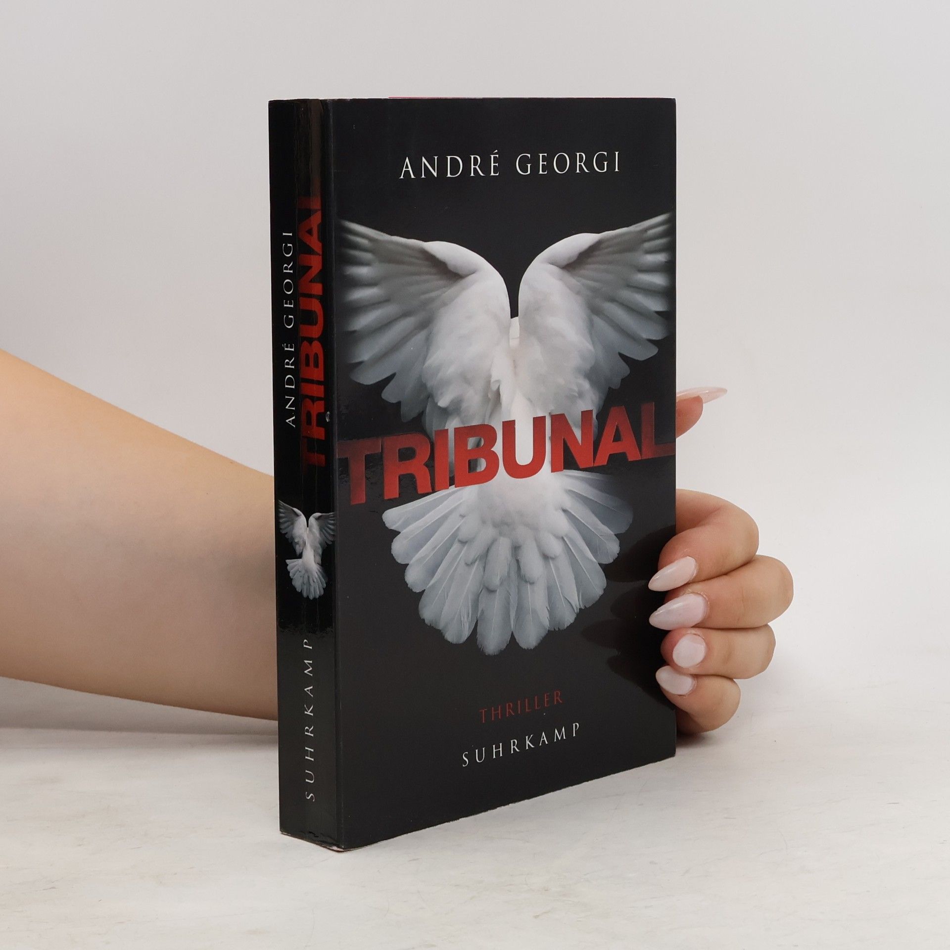Andre Georgi Tribunal