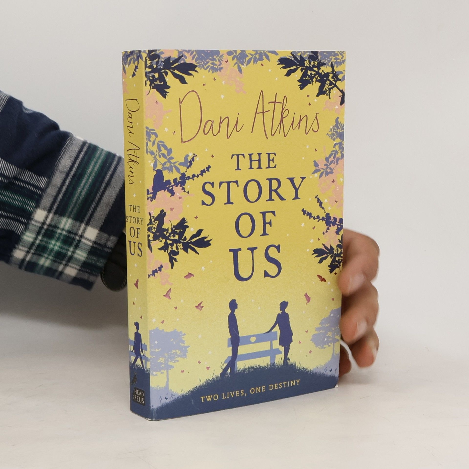 Dani Atkins The Story of us