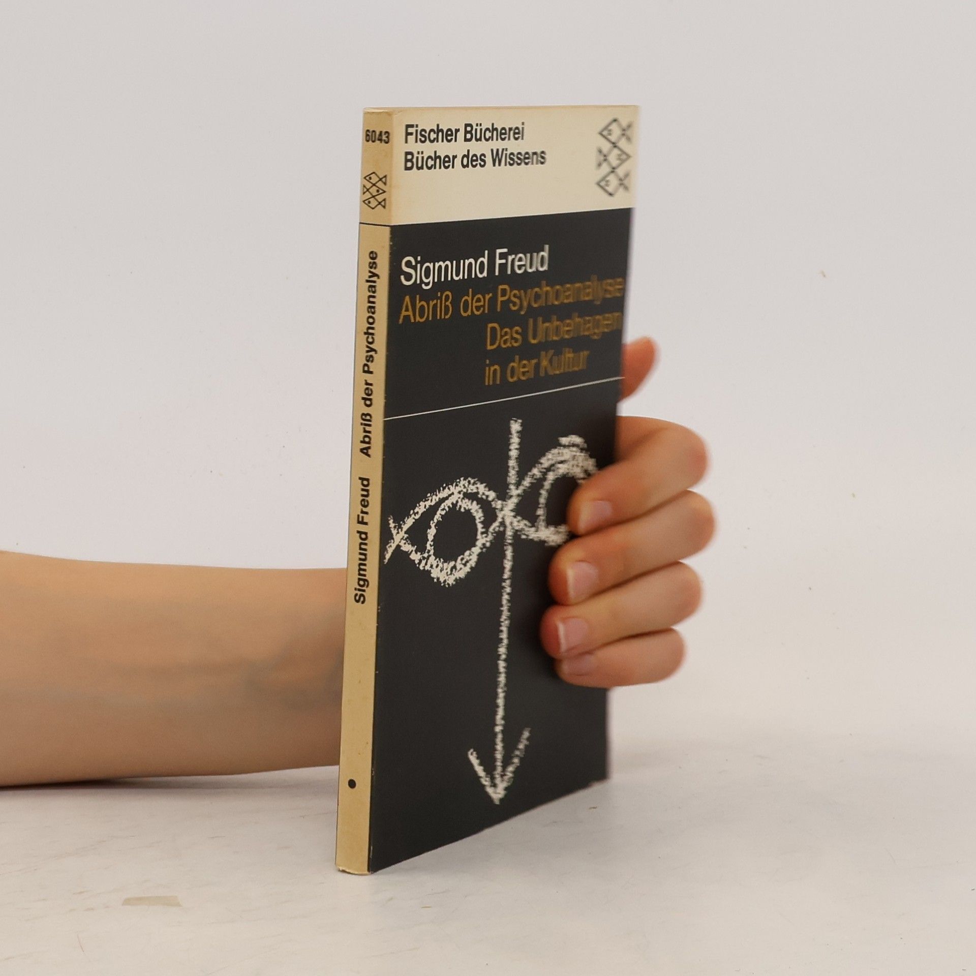 Sigmund Freud Abriß der Psychoanalyse. Das Unbehagen in der Kultur