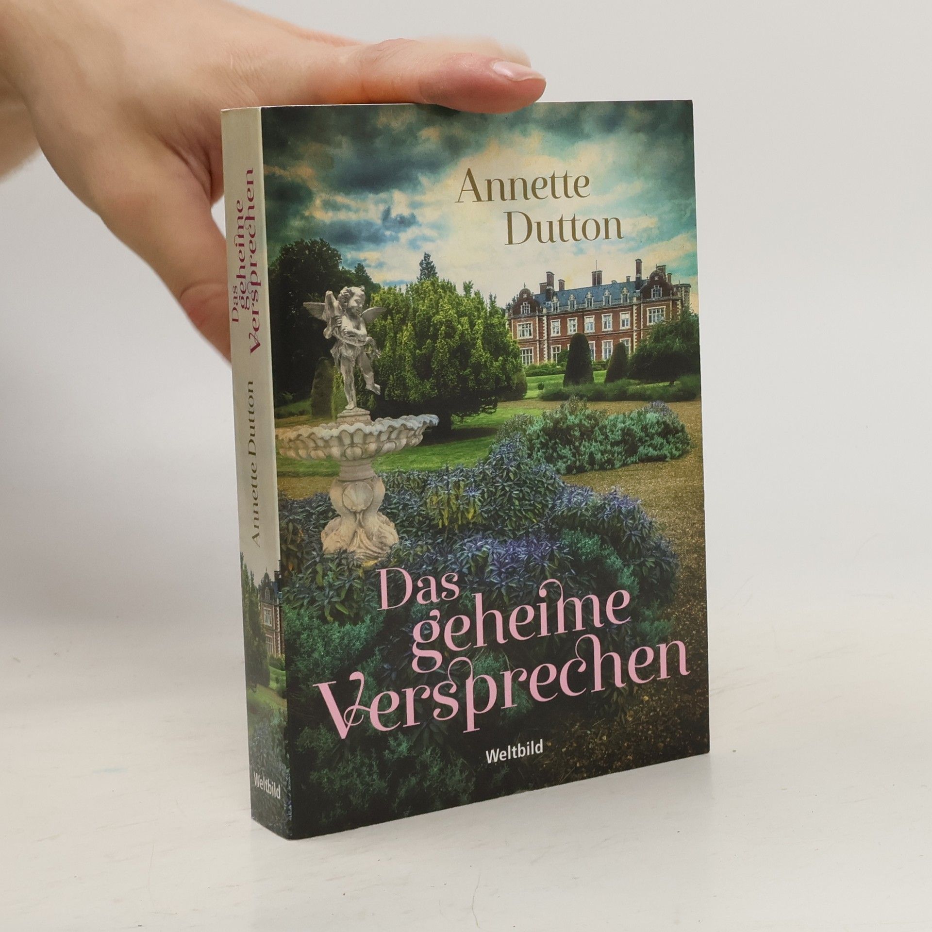 Annette Dutton Das geheime Versprechen