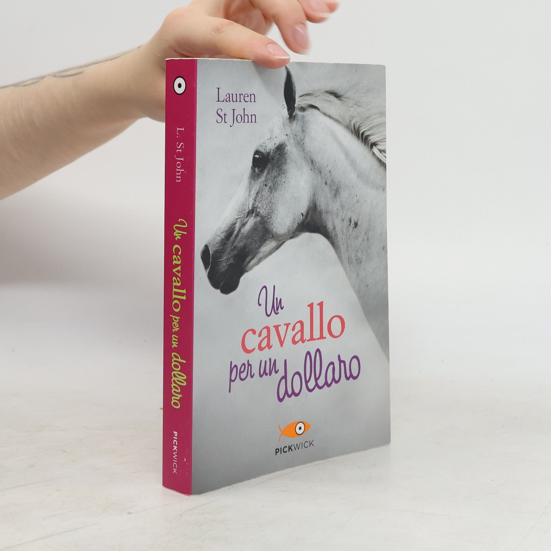 Lauren St. John Un cavallo per un dollaro