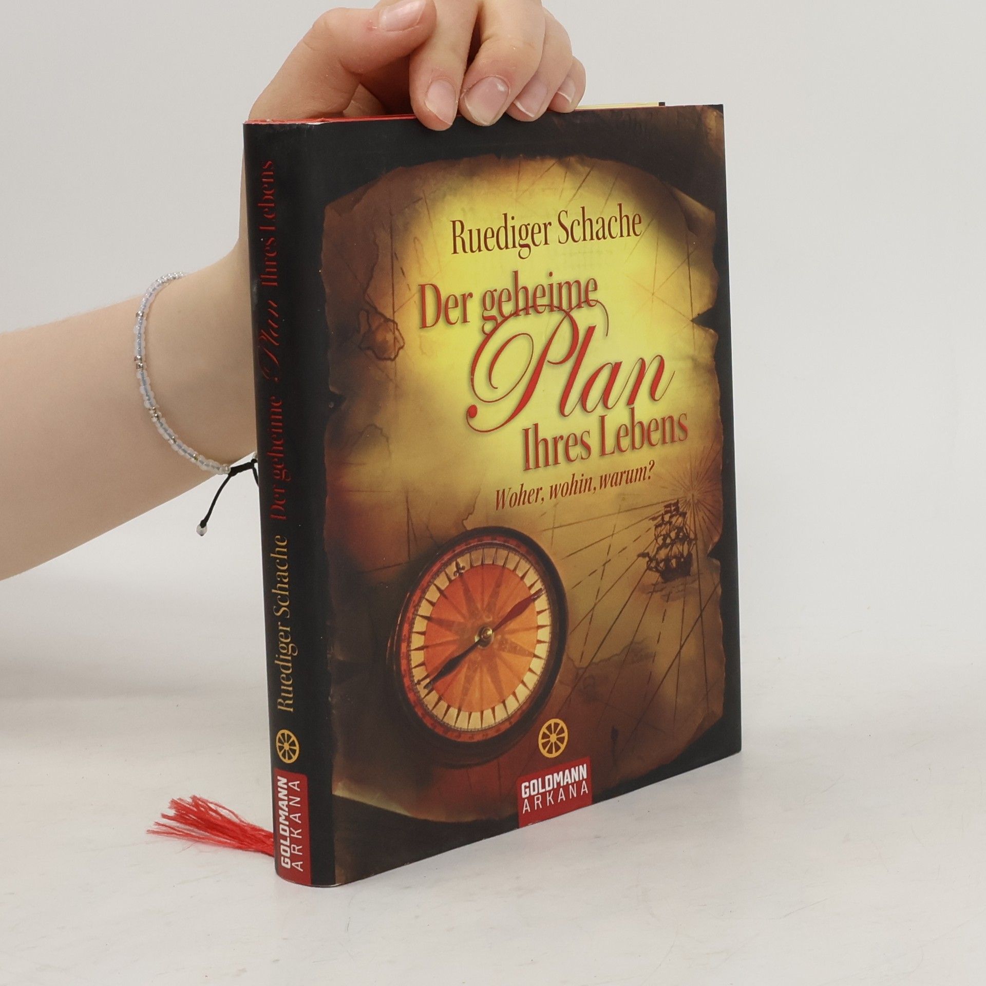 Ruediger Schache Der geheime Plan Ihres Lebens