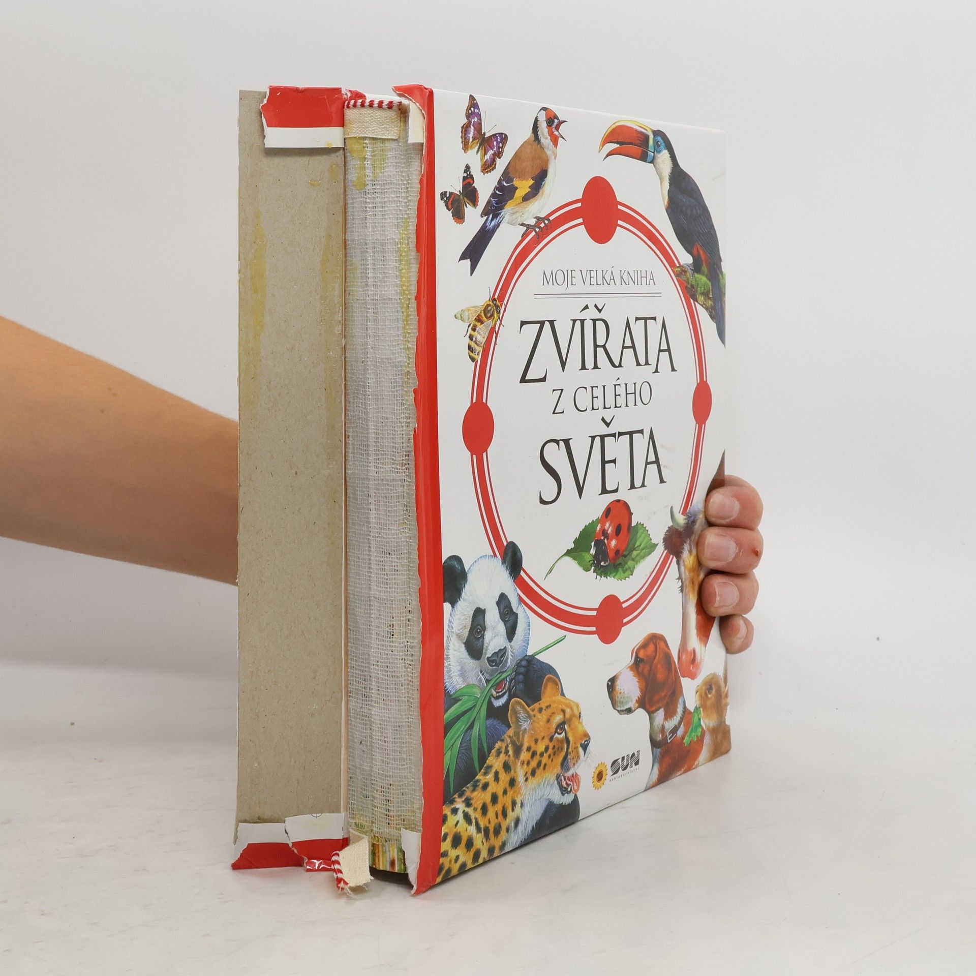 Zvířata z celého světa : moje velká kniha