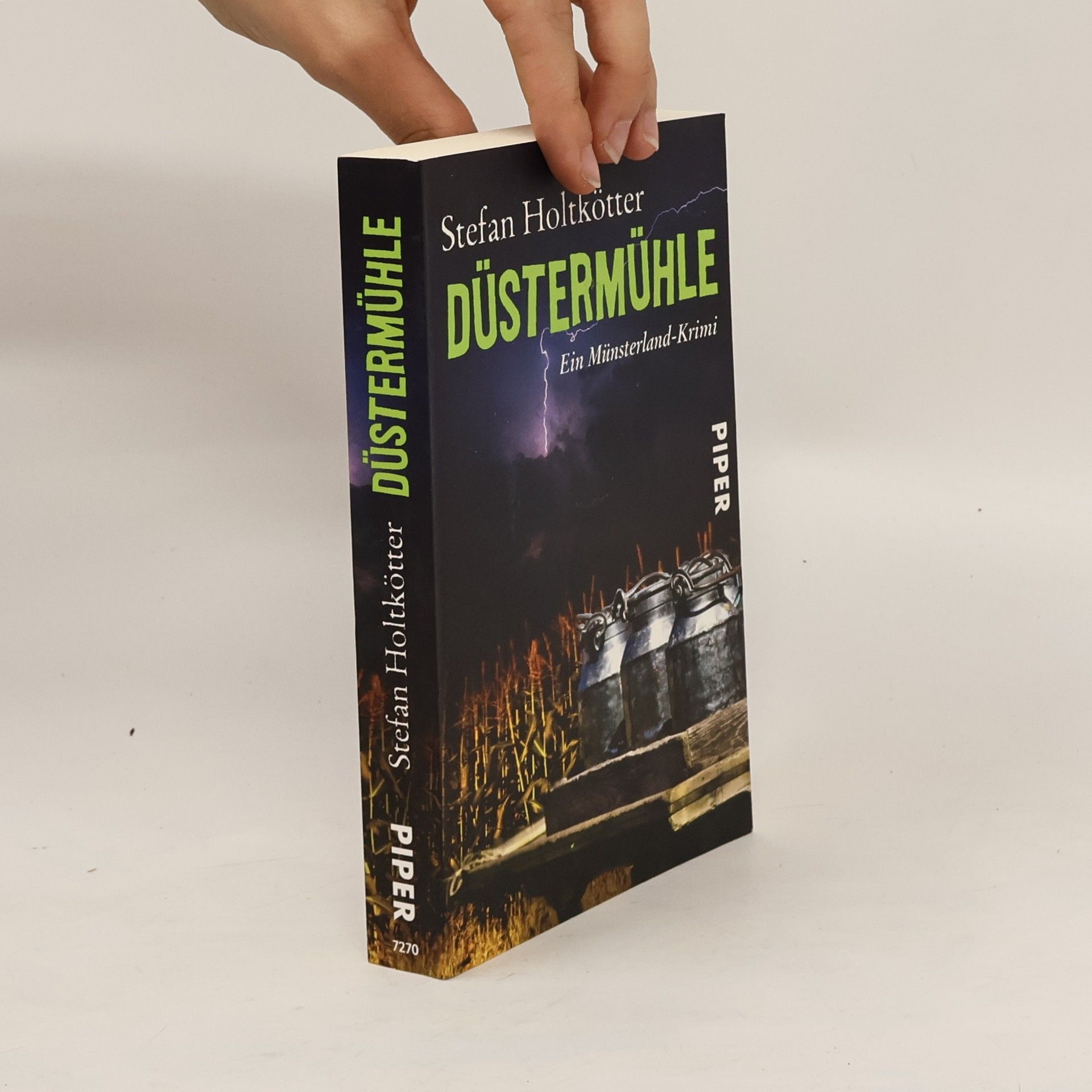 Stefan Holtkötter Düstermühle