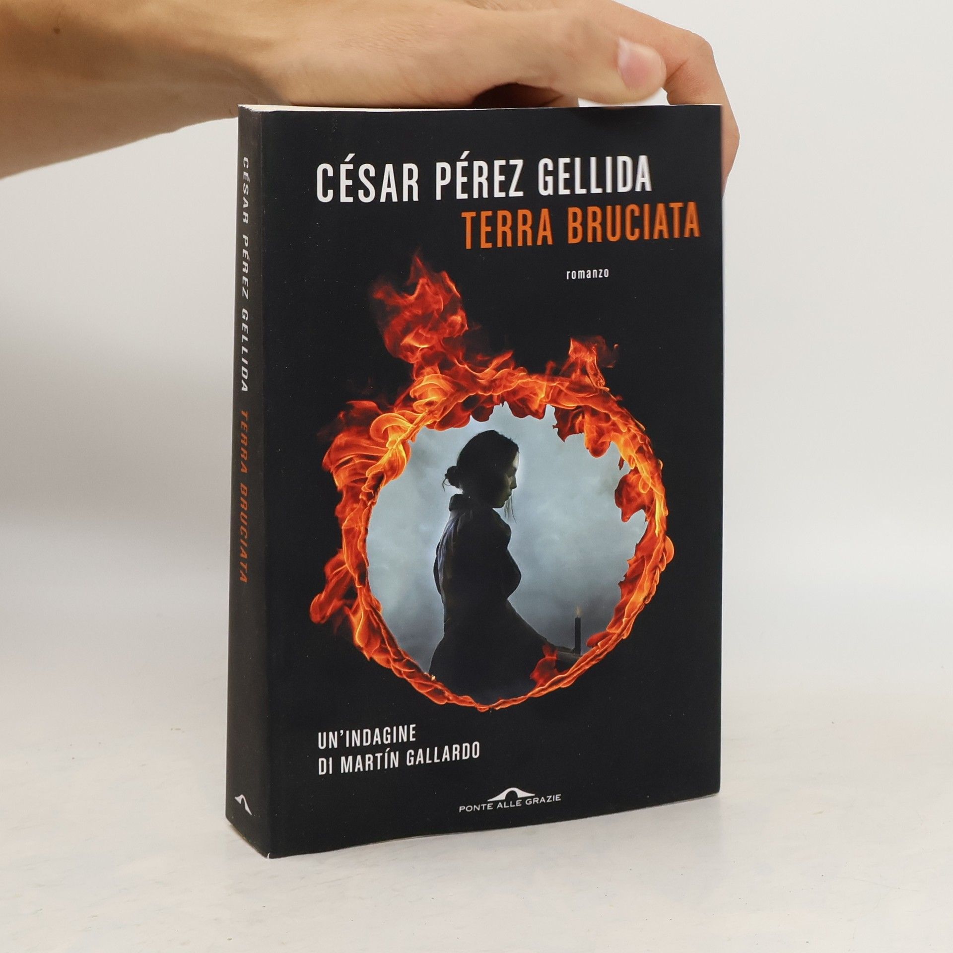Cesar Perez Gellida Terra Bruciata
