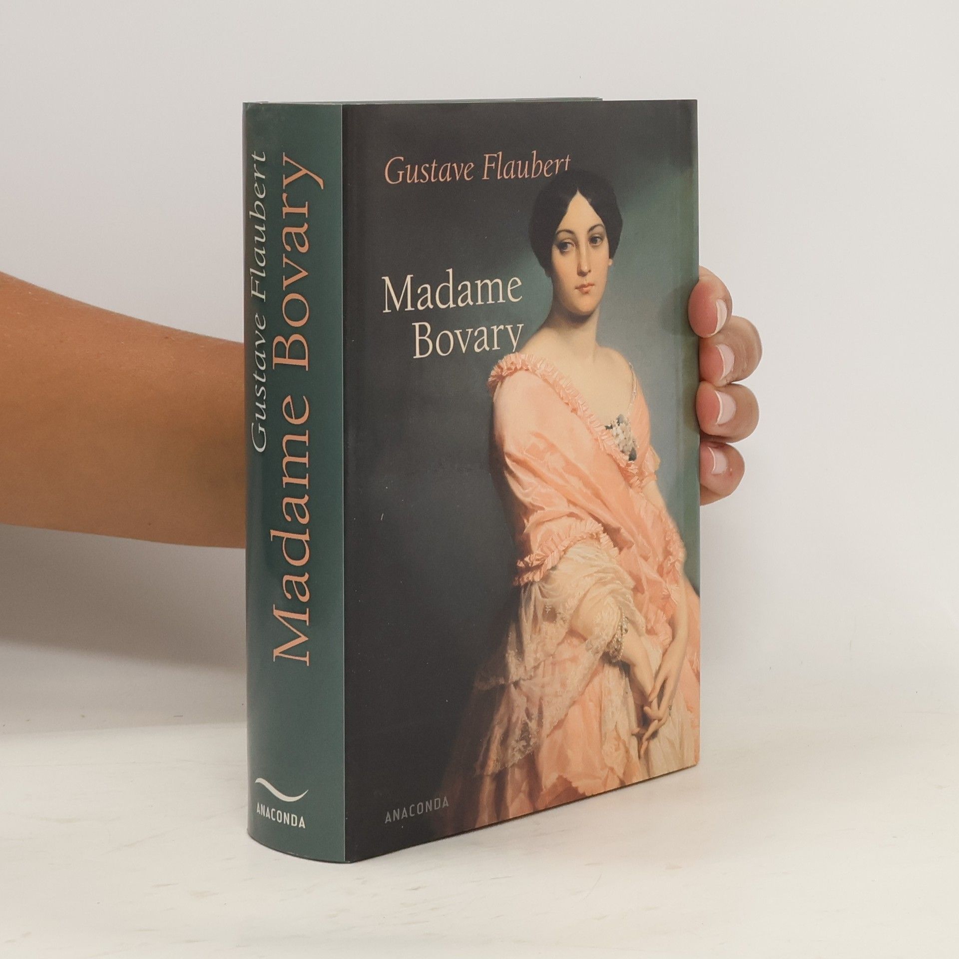 Gustave Flaubert Madame Bovary