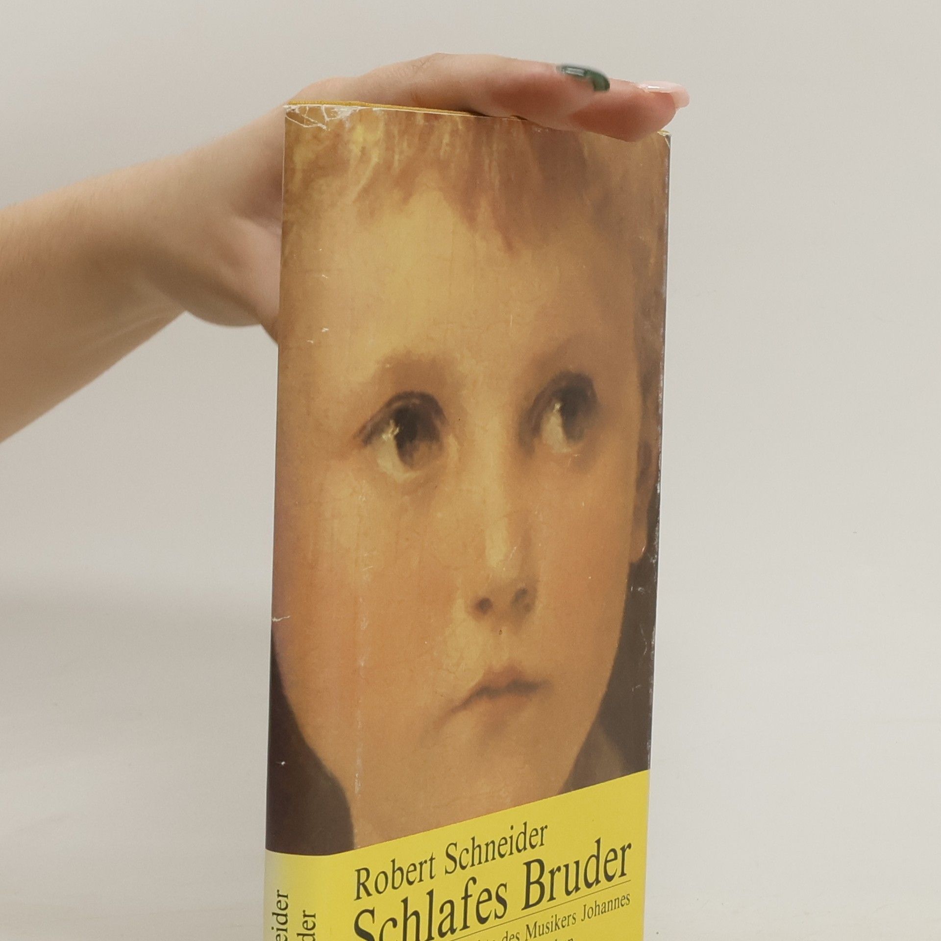 Robert Schneider Schlafes Bruder