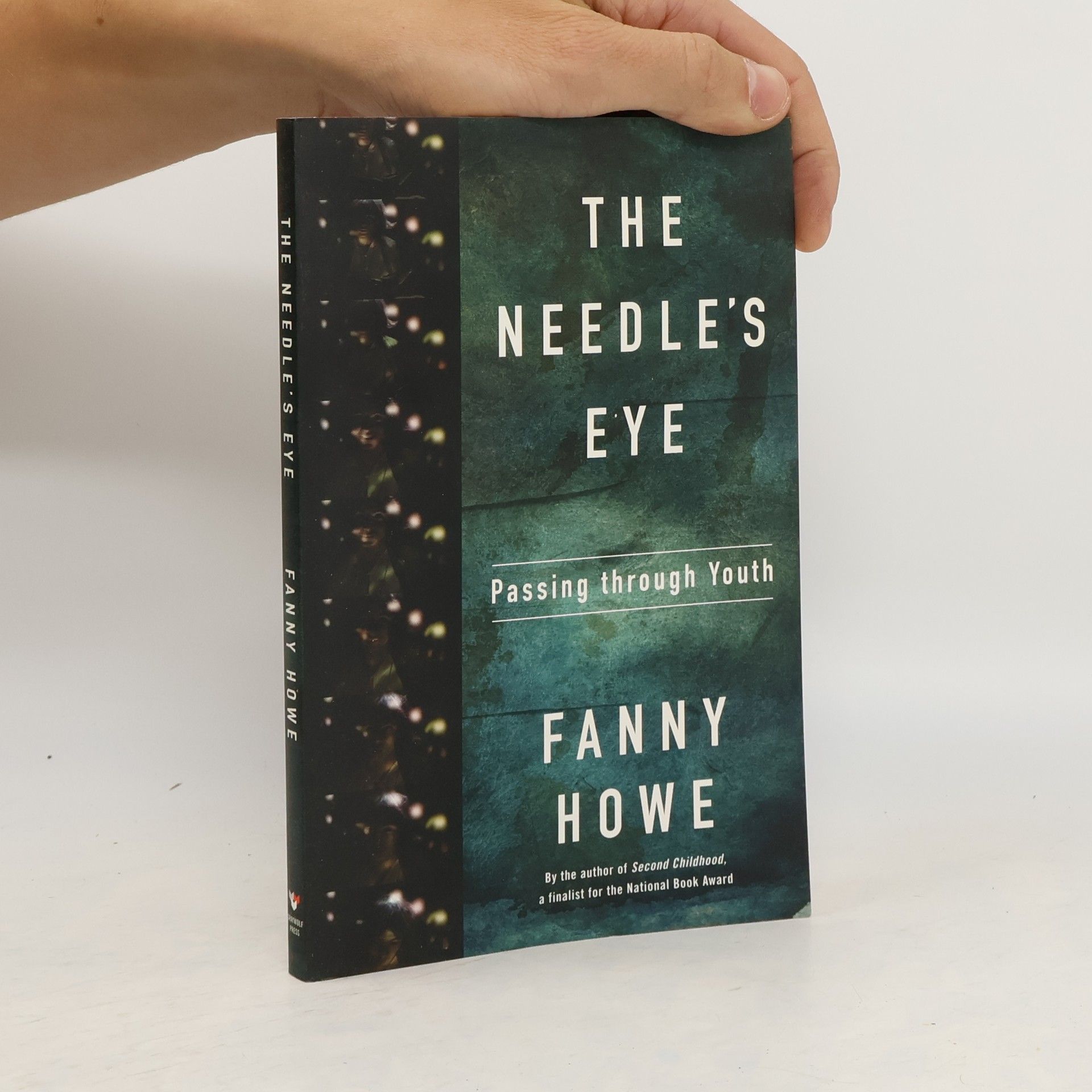 Fanny Howe The Needle's Eye