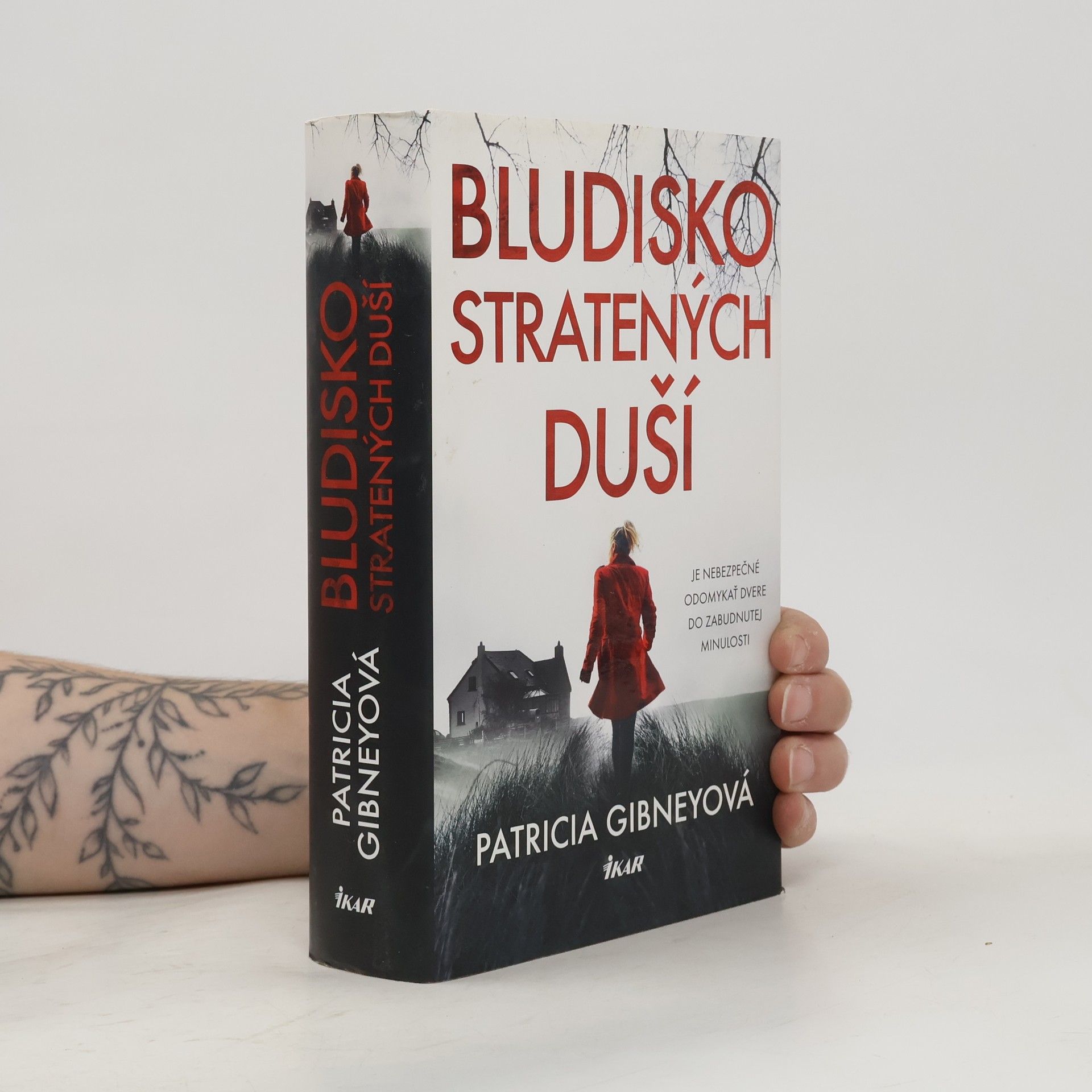 Patricia Gibney Bludisko stratených duší