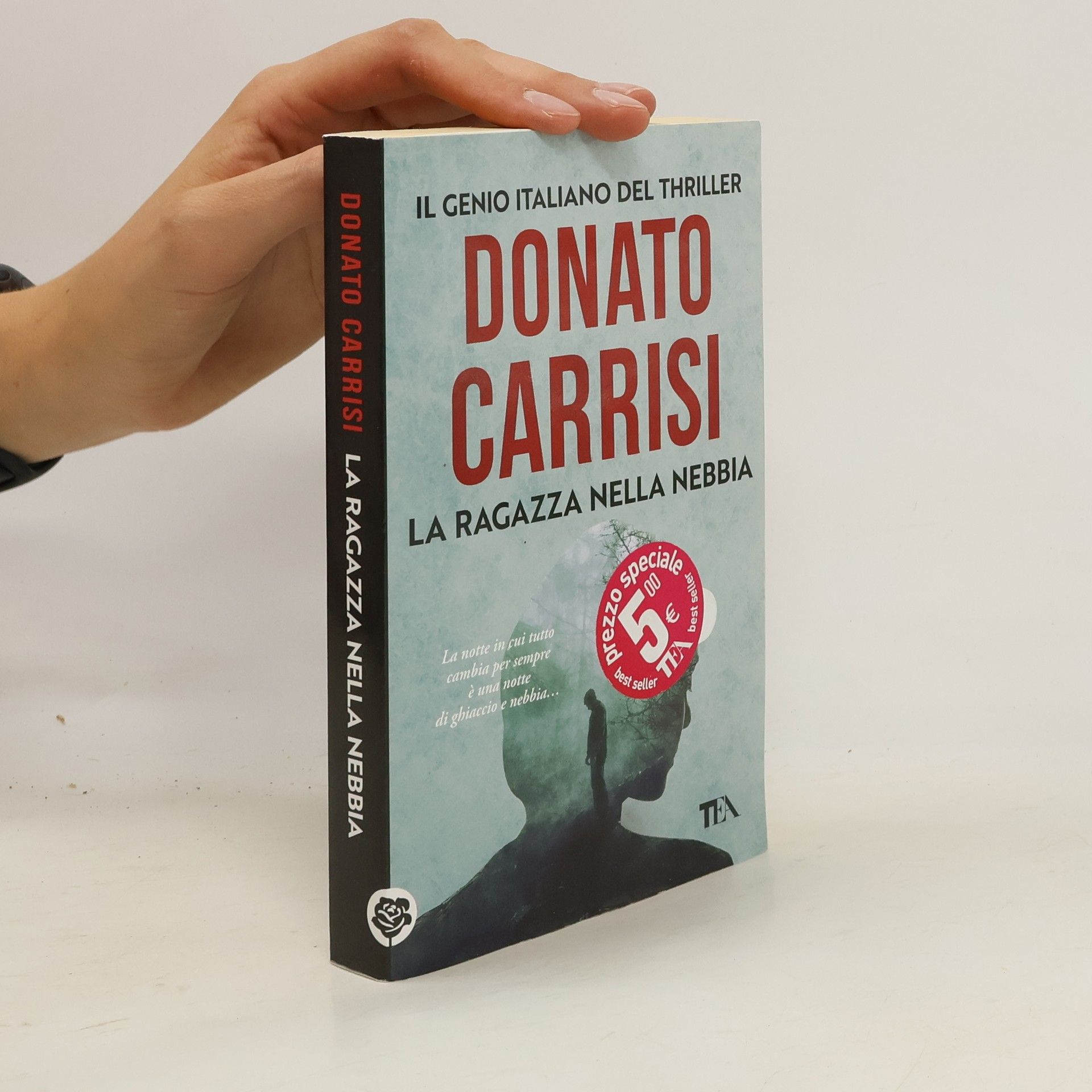 Donato Carrisi La ragazza nella nebbia