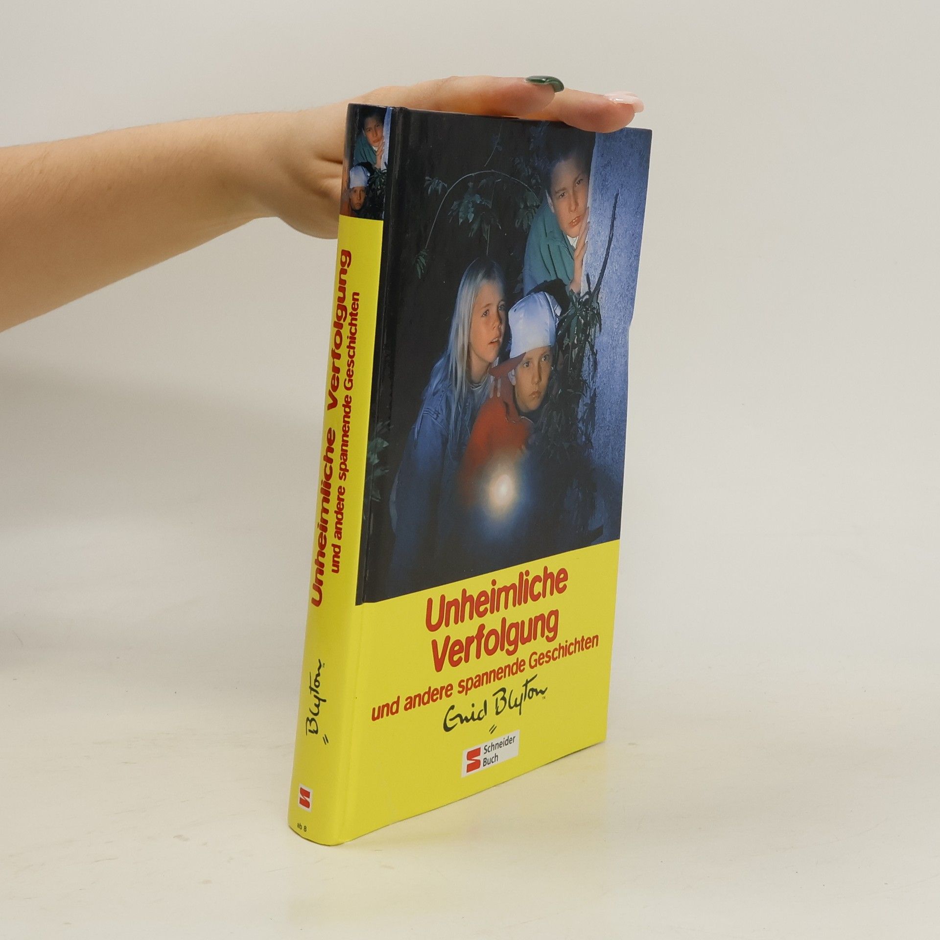 Enid Blyton Unheimliche Verfolgung und andere spannende Geschichten