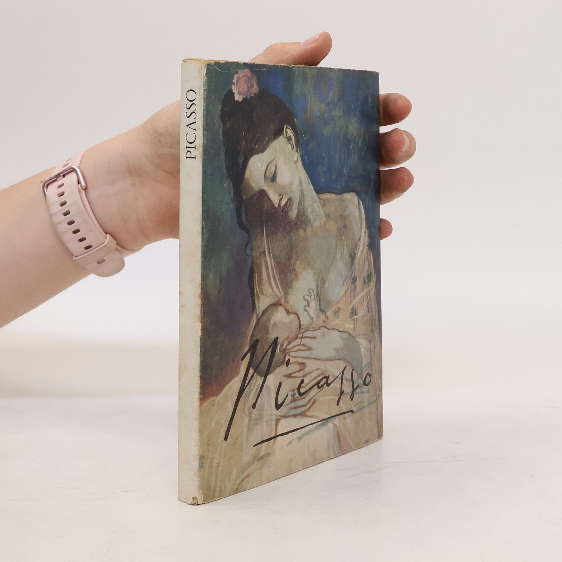 Autores varios Picasso