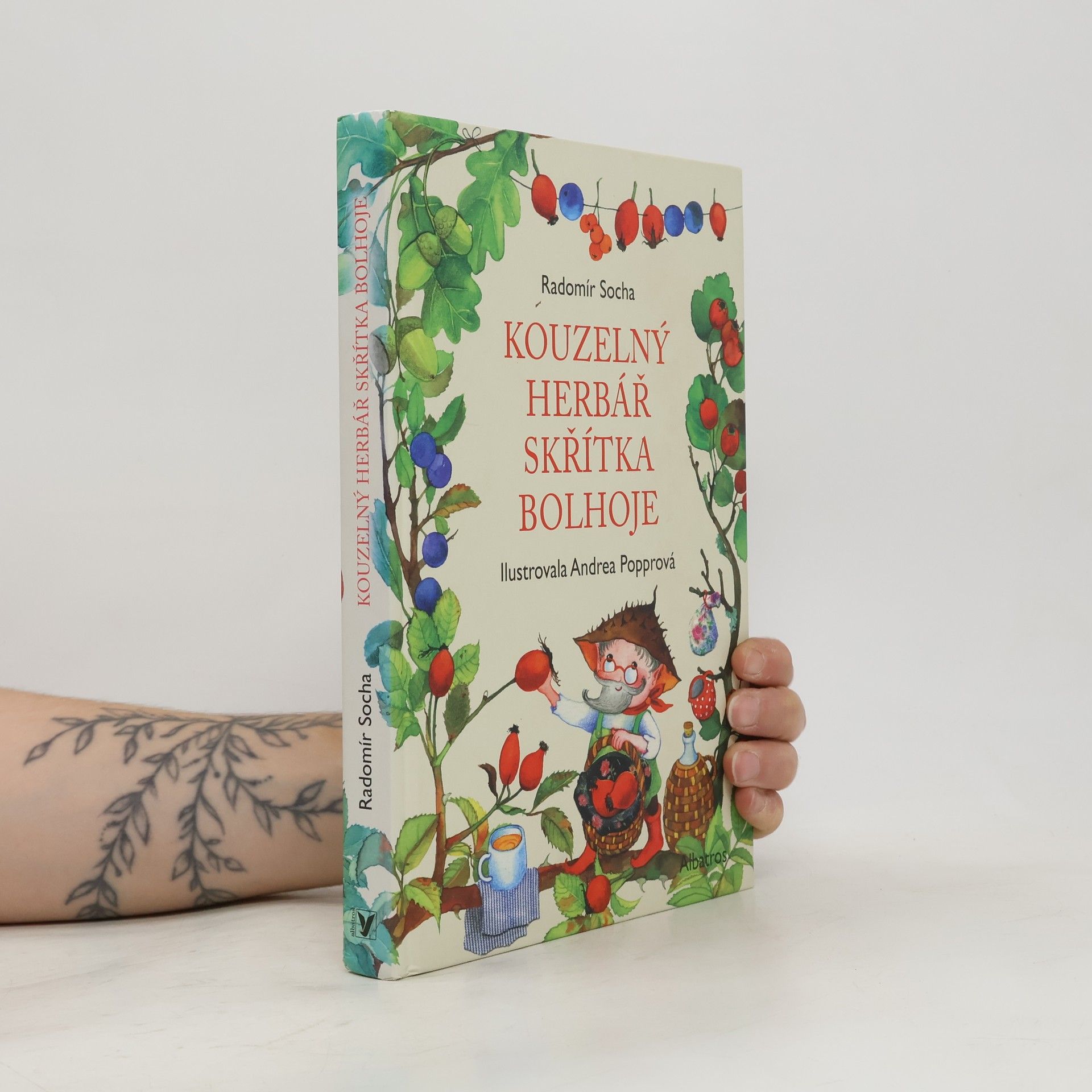 Radomír Socha Kouzelný herbář skřítka Bolhoje