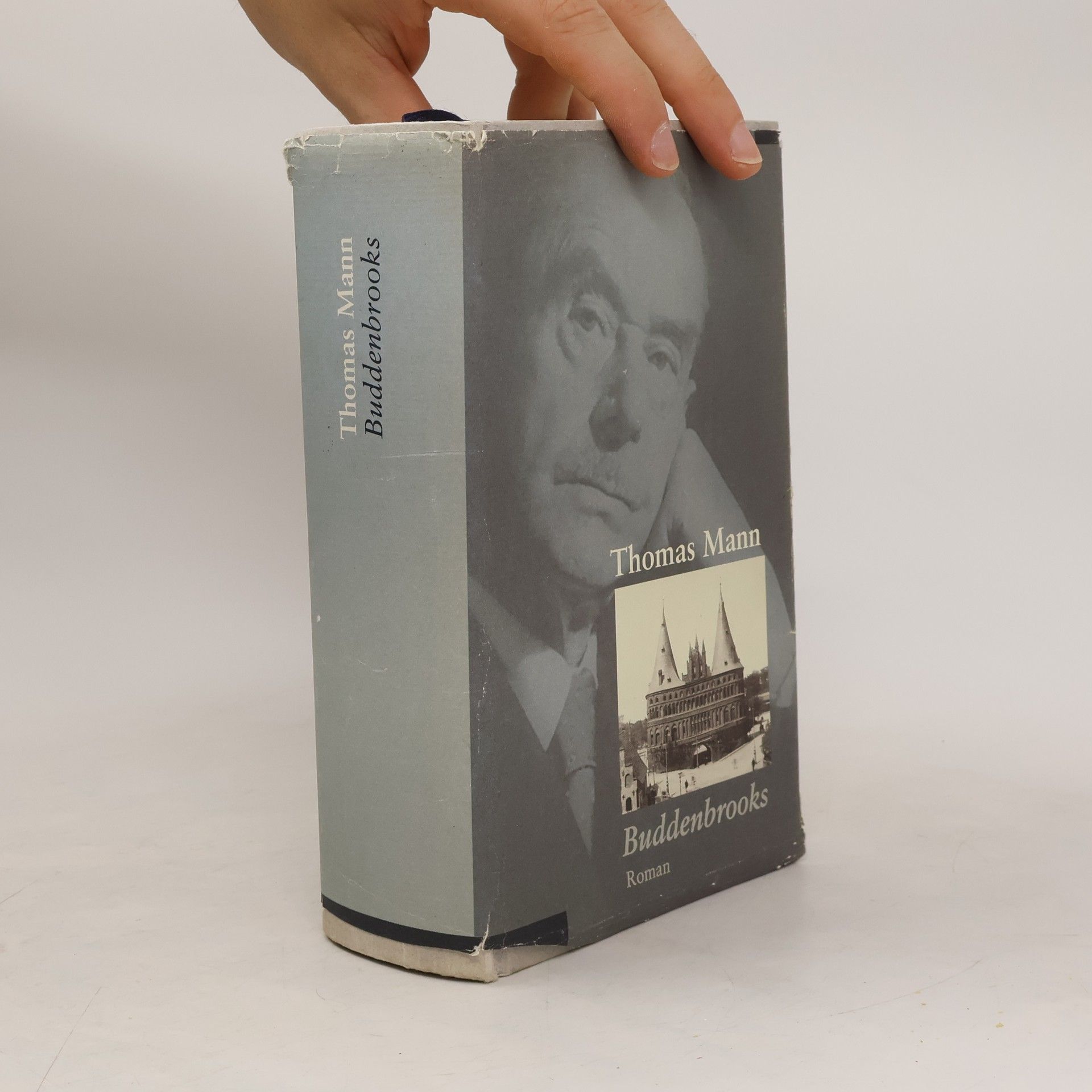 Thomas Mann Buddenbrooks
