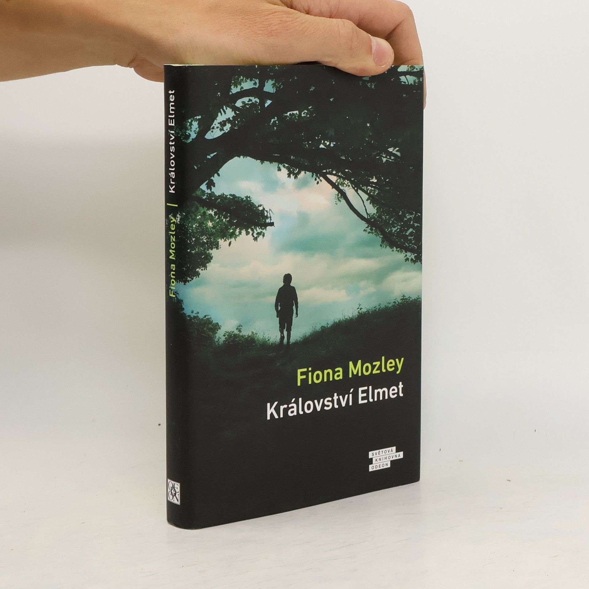 Fiona Mozley Království Elmet