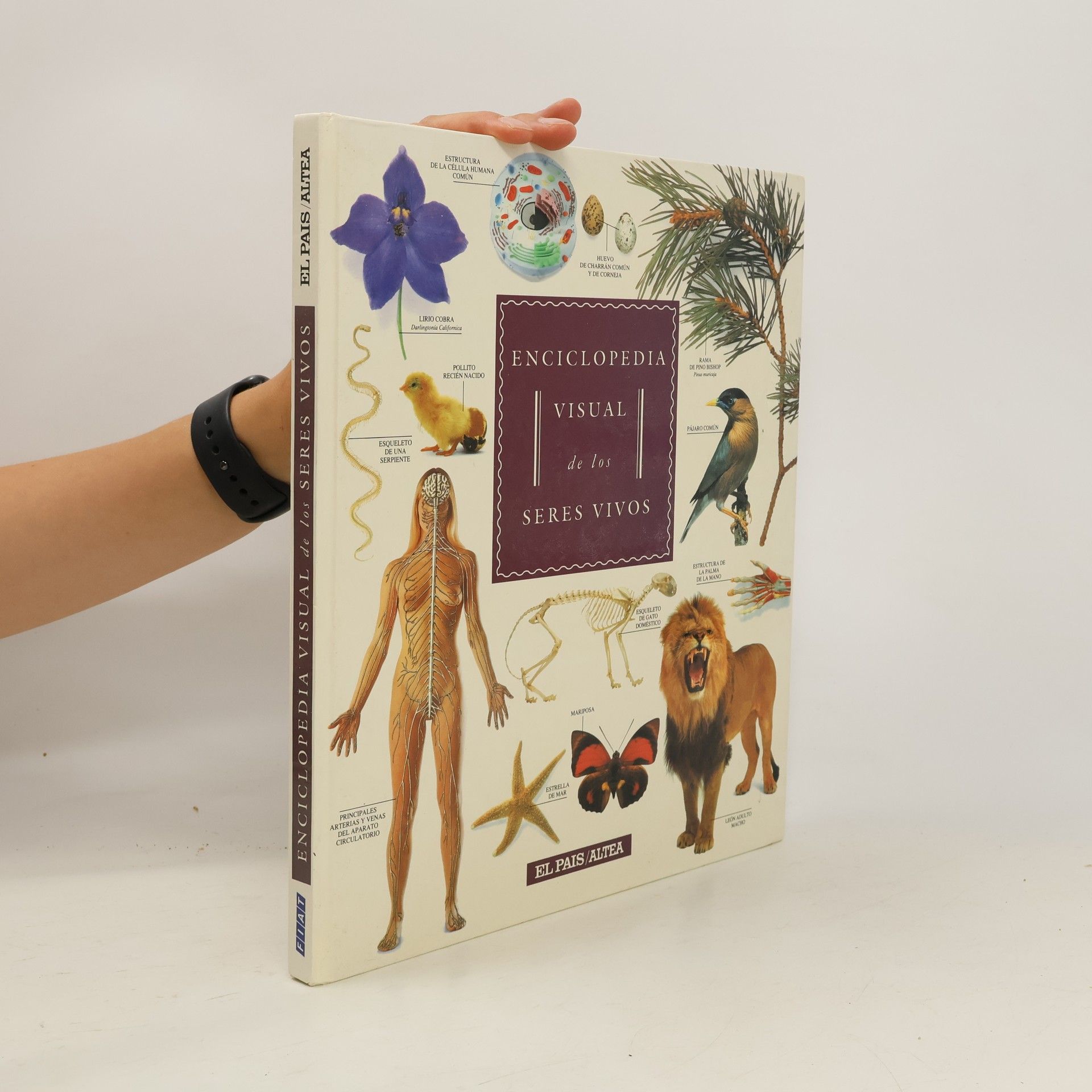 Collectif d'auteurs Enciclopedia visual de los seres vivos