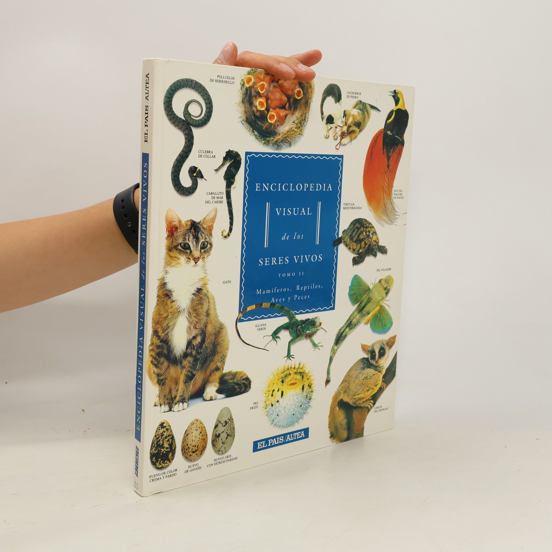 kolektiv Enciclopedia visual de los seres vivos II