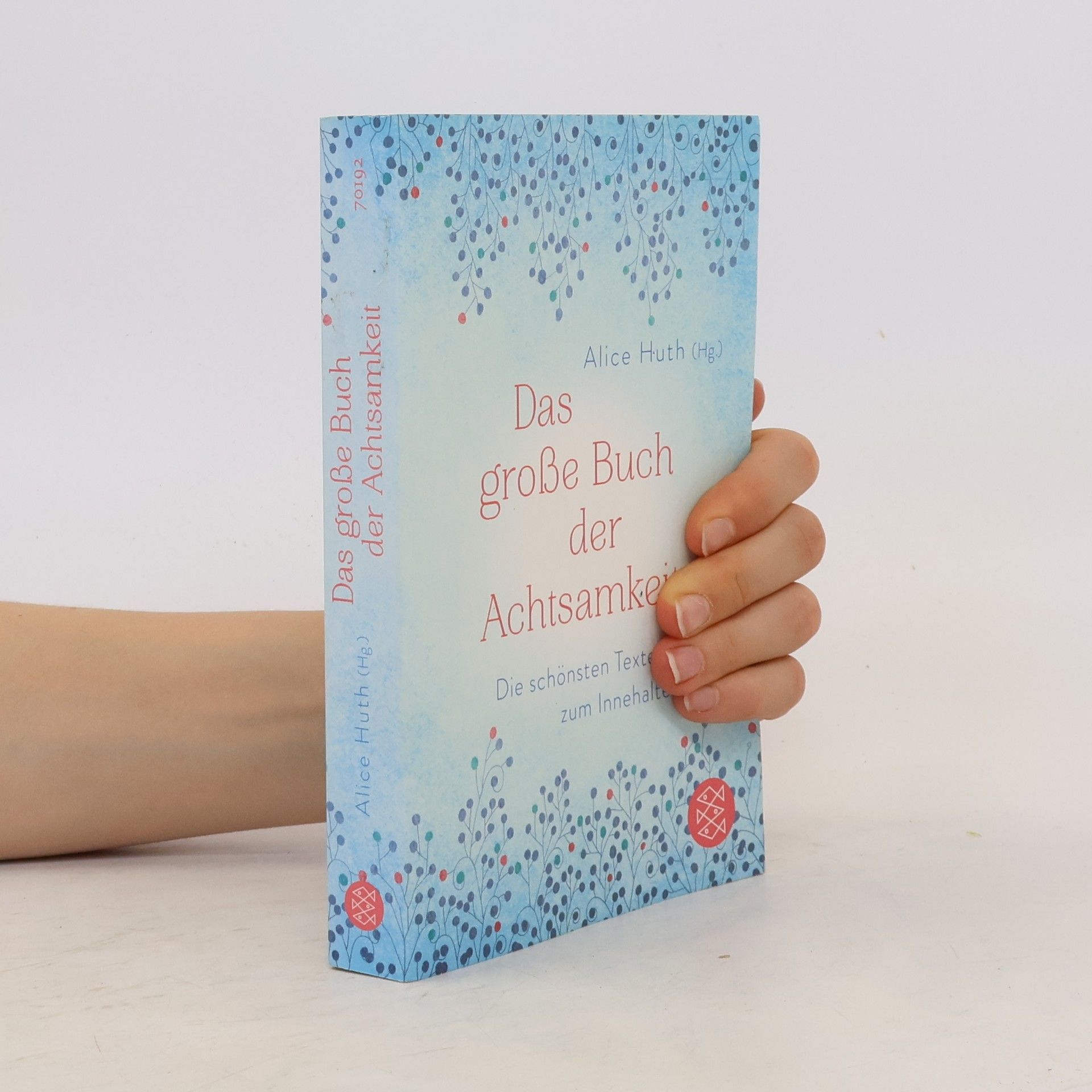 Alice Huth Das große Buch der Achtsamkeit - die schönsten Texte zum Innehalten
