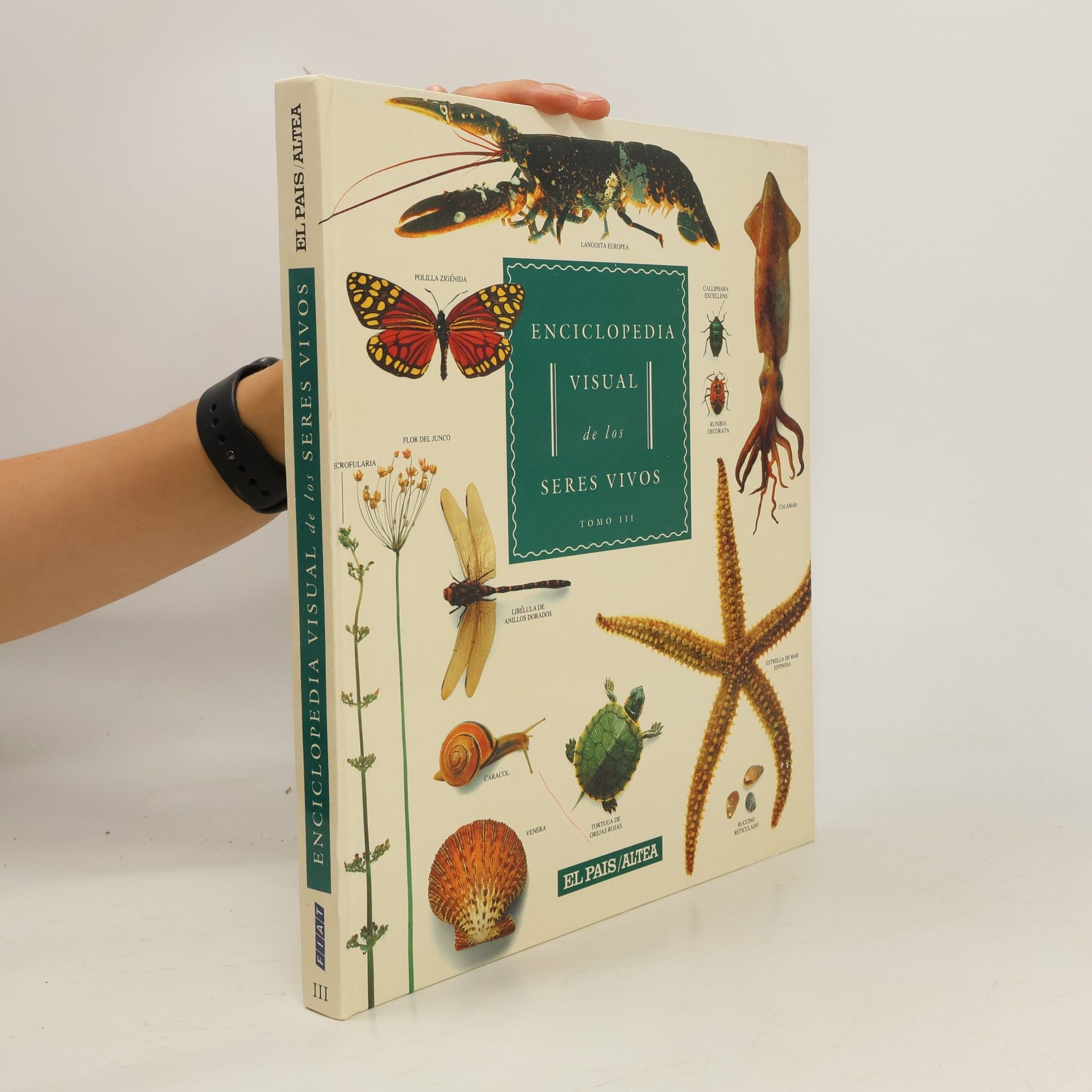kolektiv Enciclopedia visual de los seres vivos III