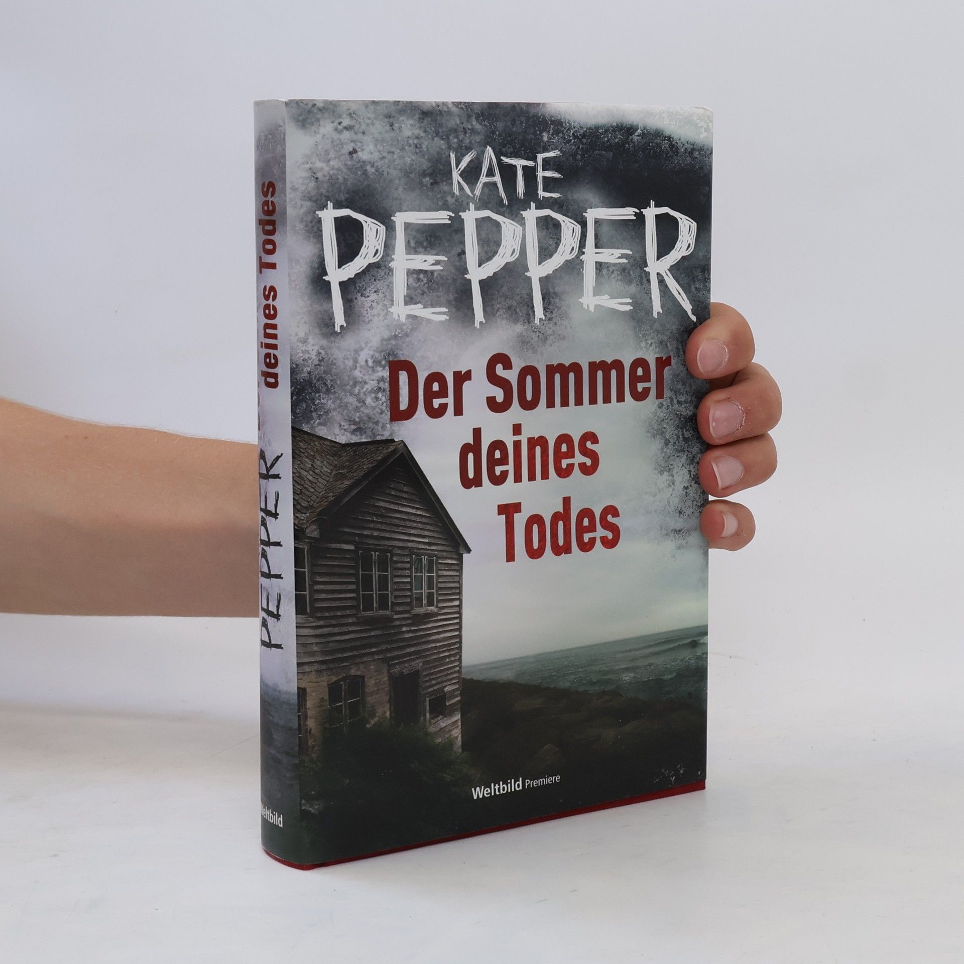 Katia Lief Der Sommer deines Todes