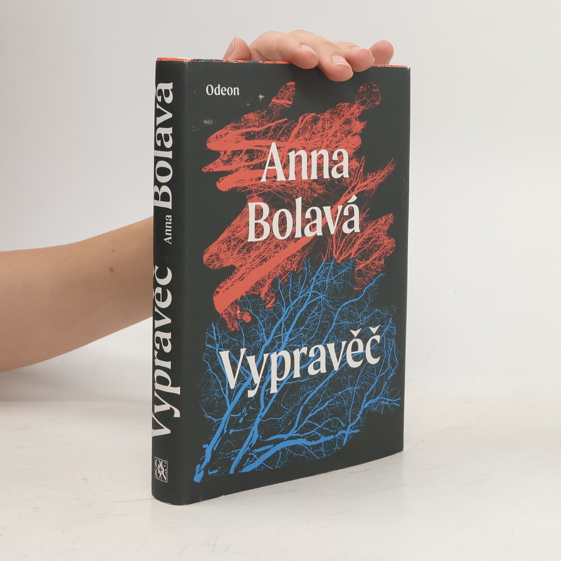 Anna Bolavá Vypravěč