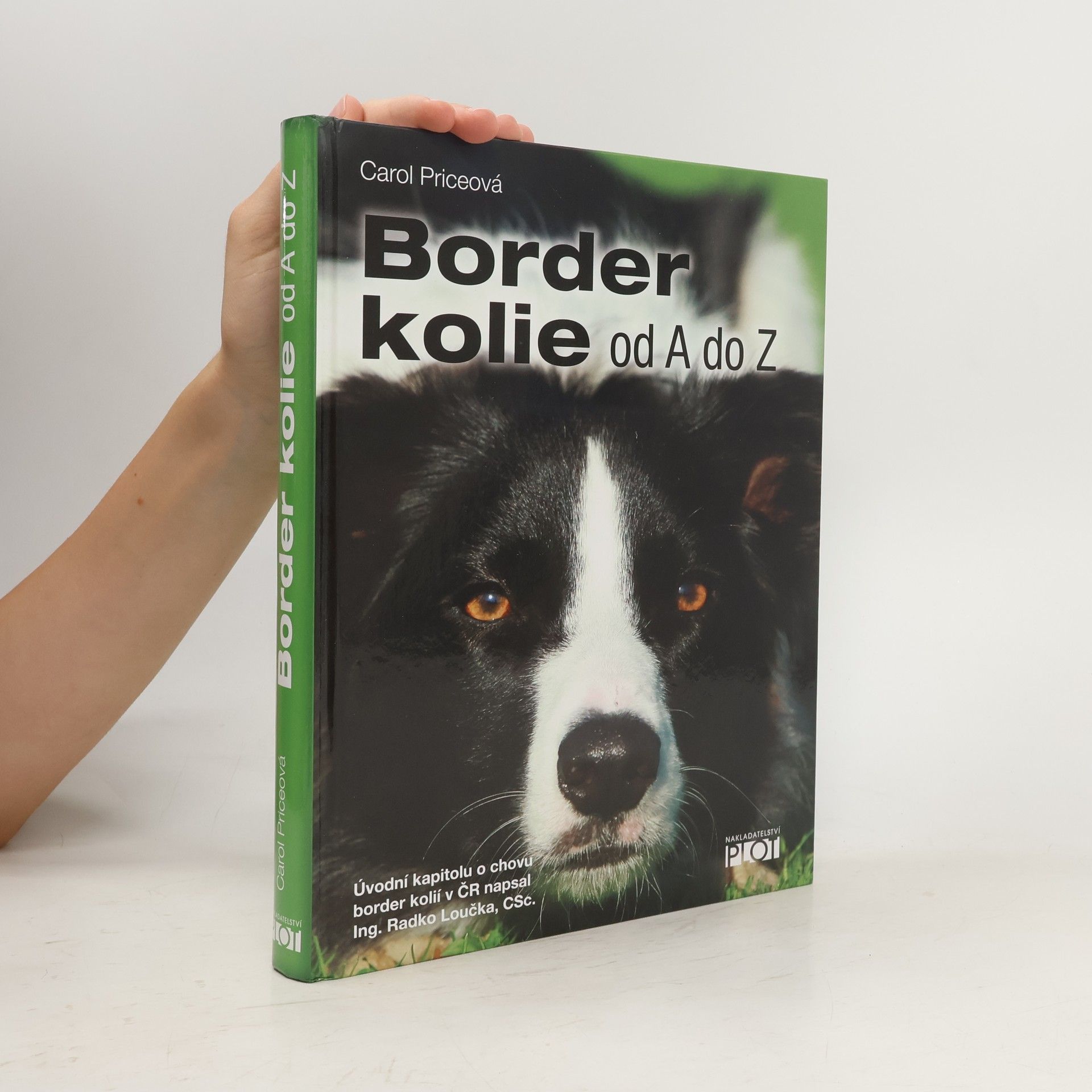 Carol Price Border kolie od A do Z