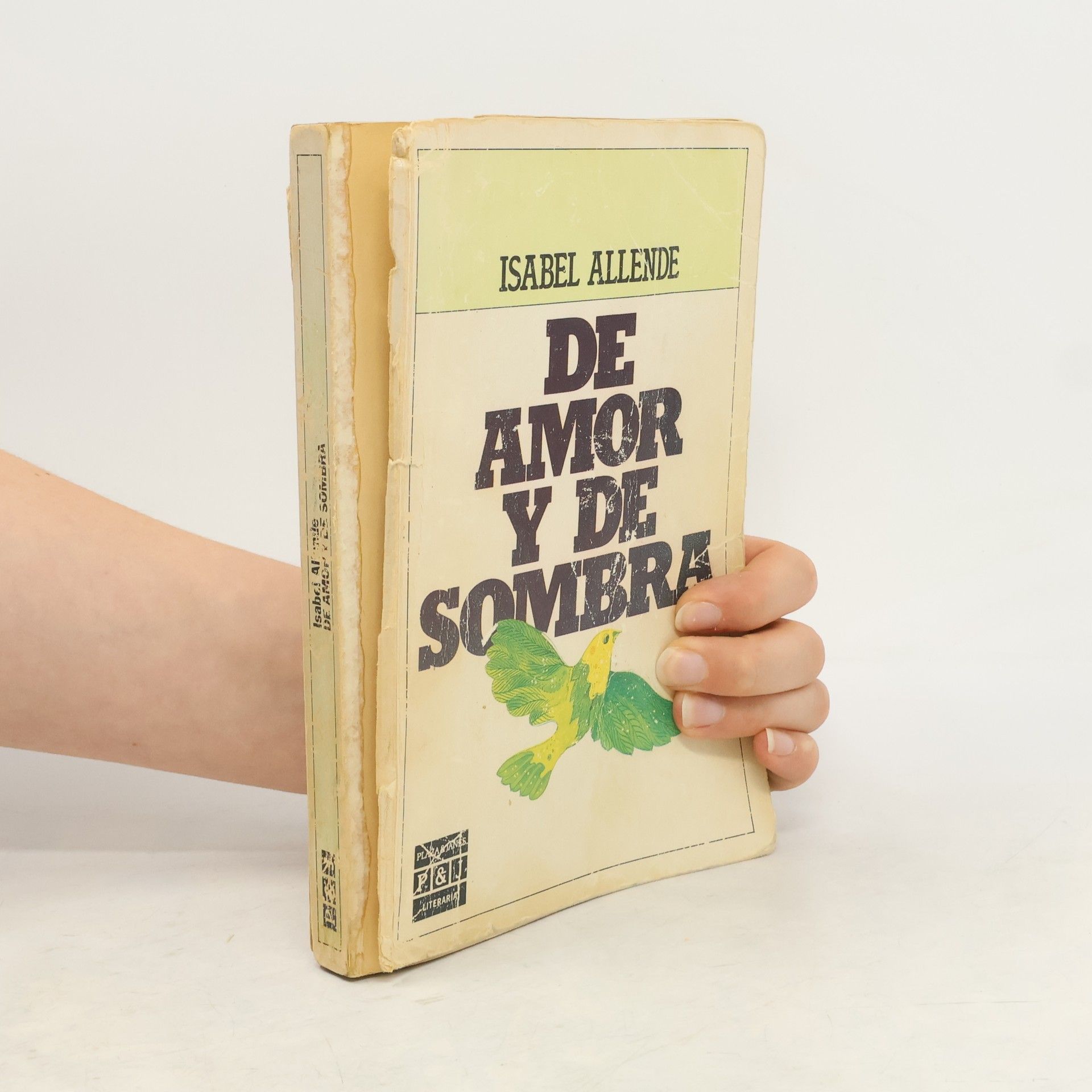 Isabel Allende De amor y de sombra