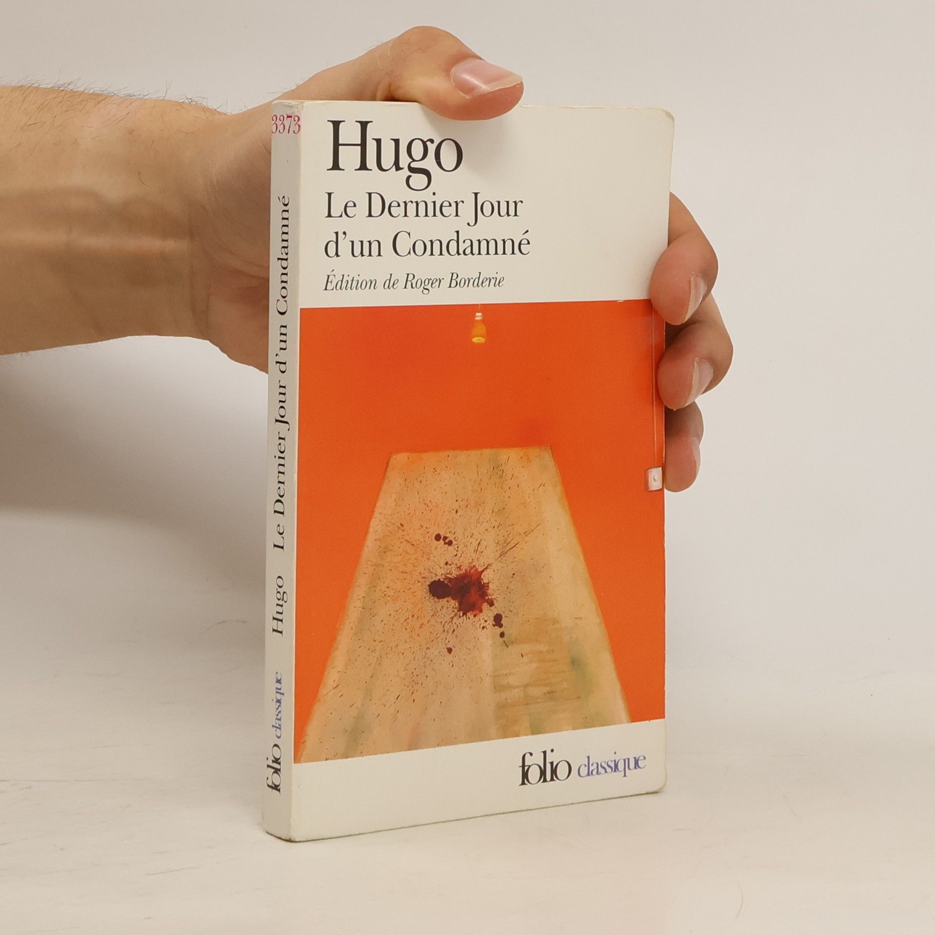Victor Hugo Le dernier jour d'un condamné