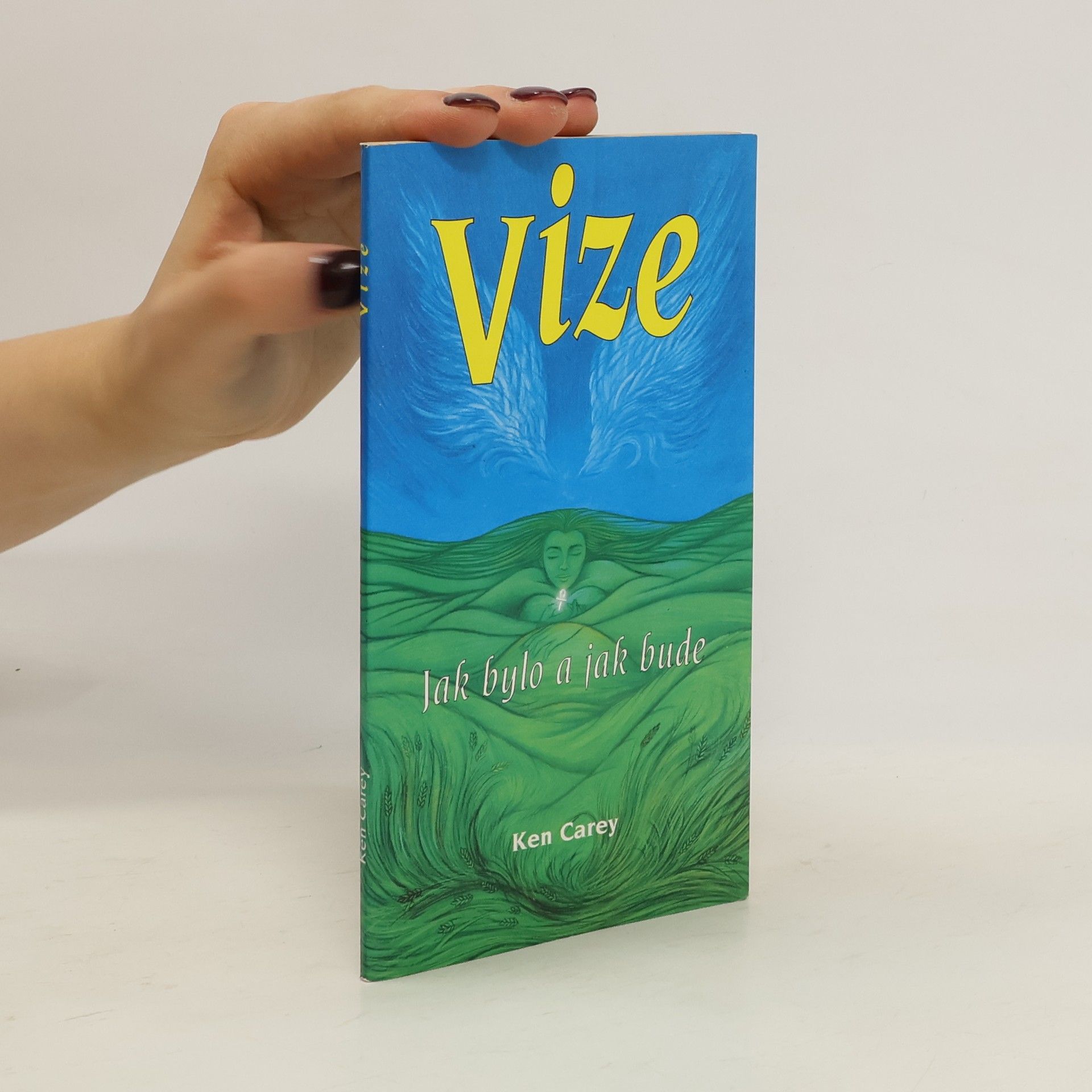 Ken Carey Vize : jak bylo a jak bude