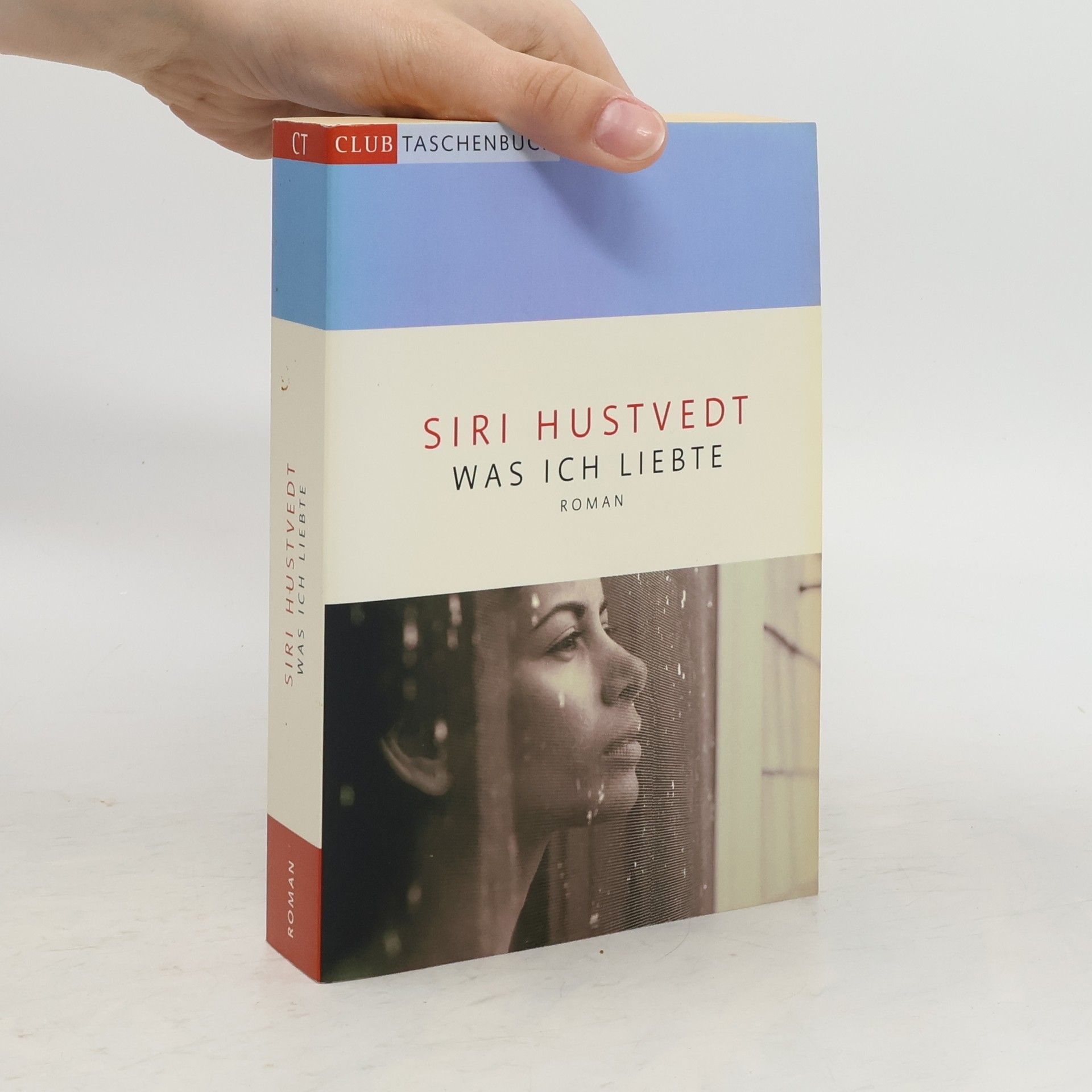 Siri Hustvedt Was ich liebte