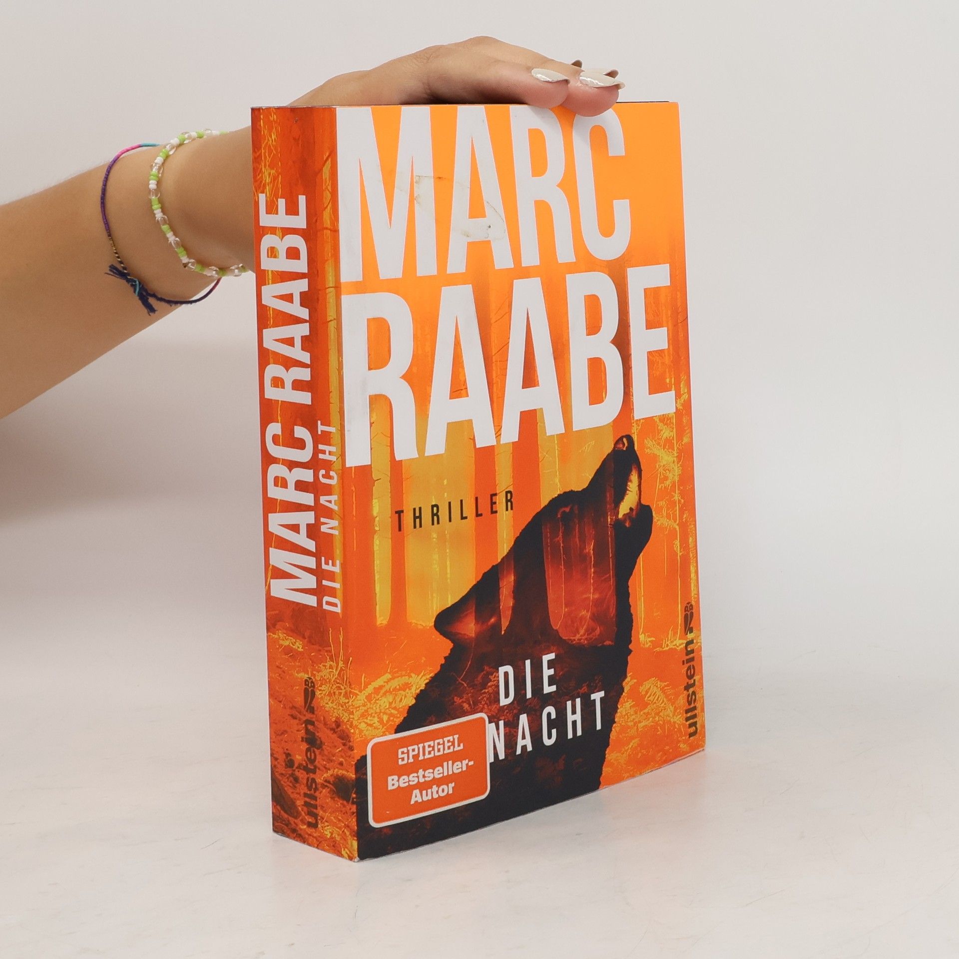 Marc Raabe Die Nacht