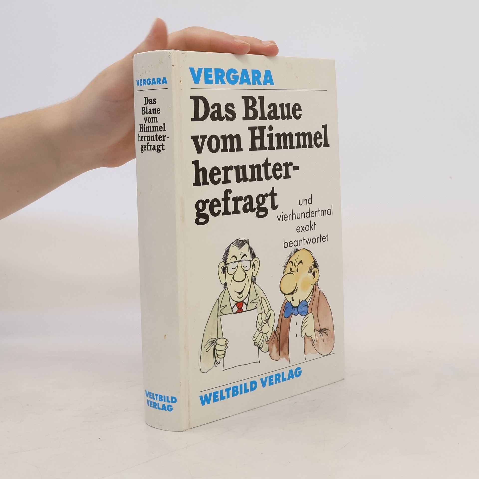 William C. Vergara Das Blaue vom Himmel heruntergefragt
