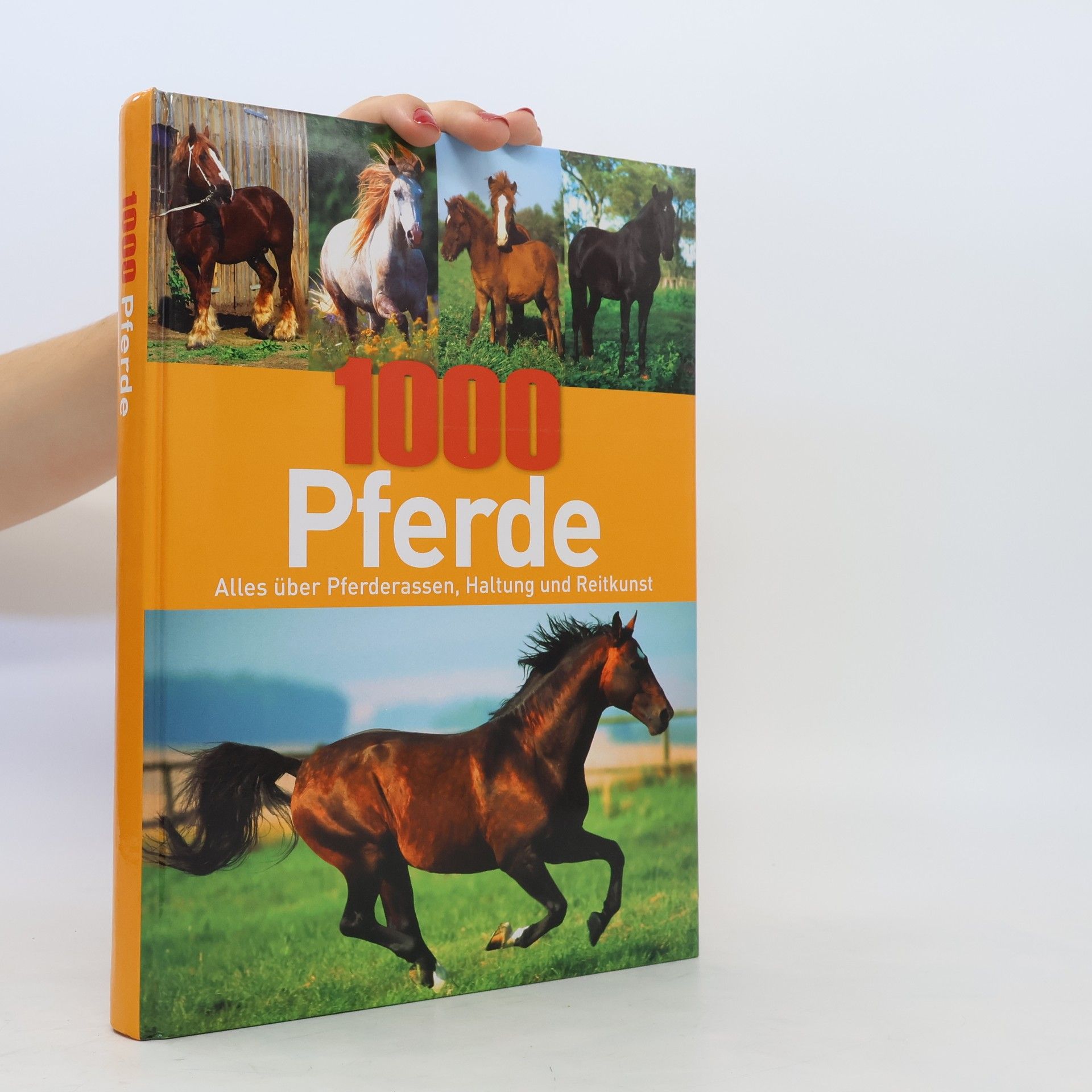 Autores varios 1000 Pferde. Alles über Pferderassen, Haftung und Reitkunst