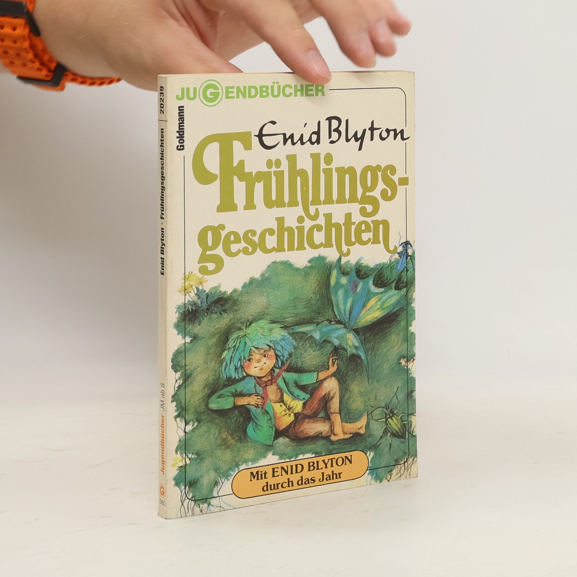 Enid Blyton Mit Enid Blyton durch das Jahr