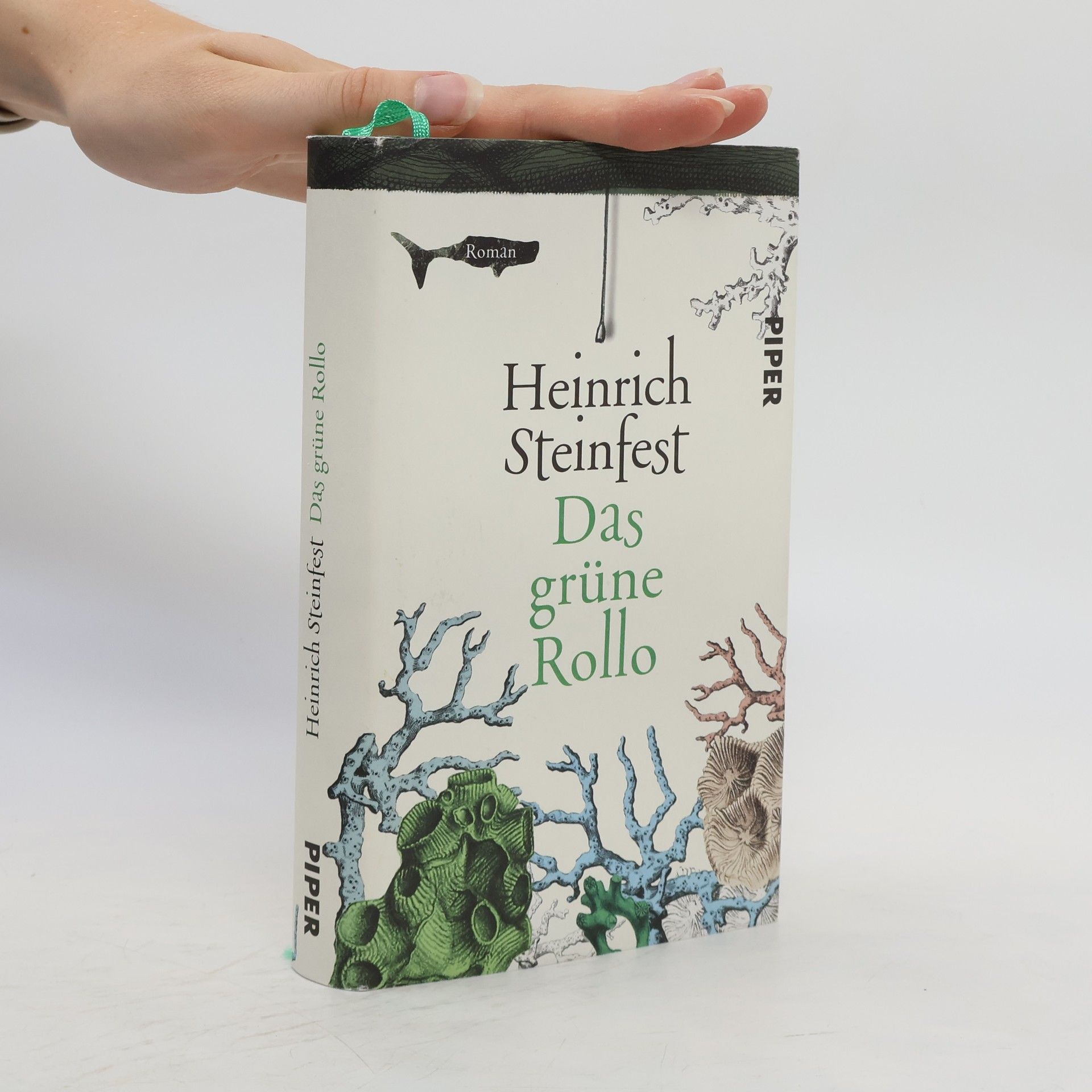 Heinrich Steinfest Das grüne Rollo