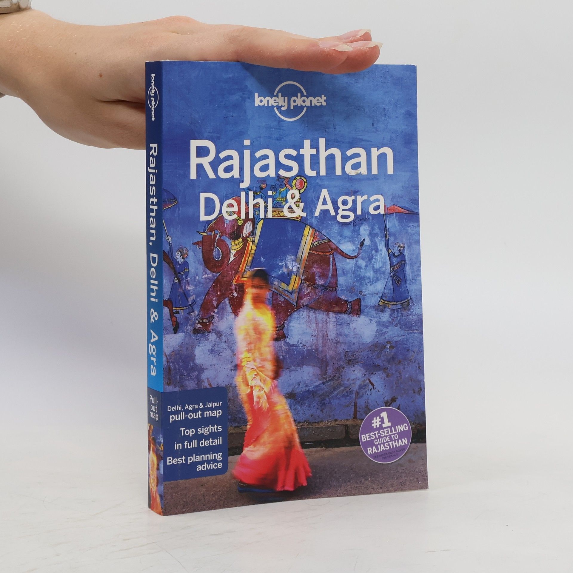 Lindsay Lindsay David Brown Rajasthan, Delhi & Agra