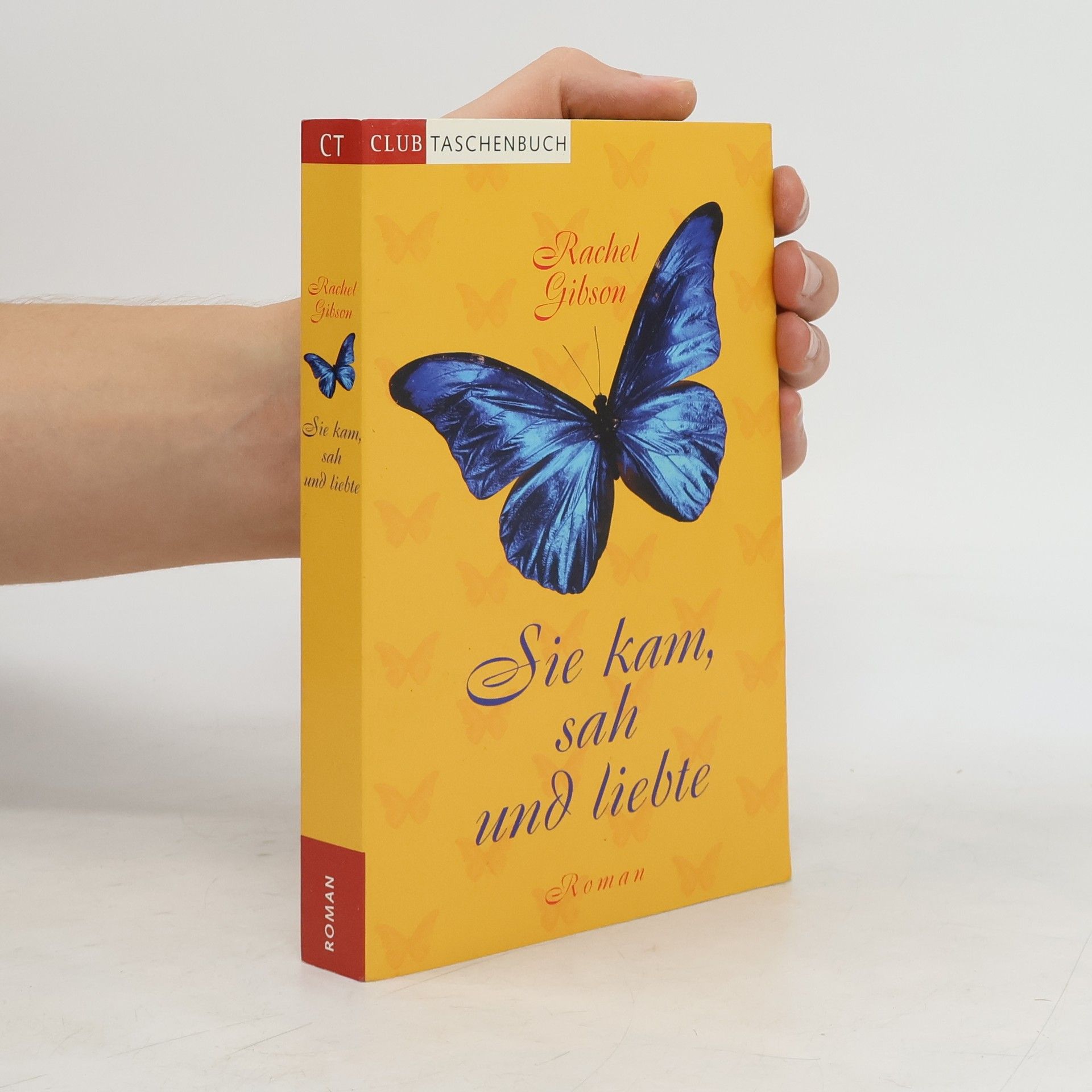 Rachel Gibson Sie kam, sah und liebte