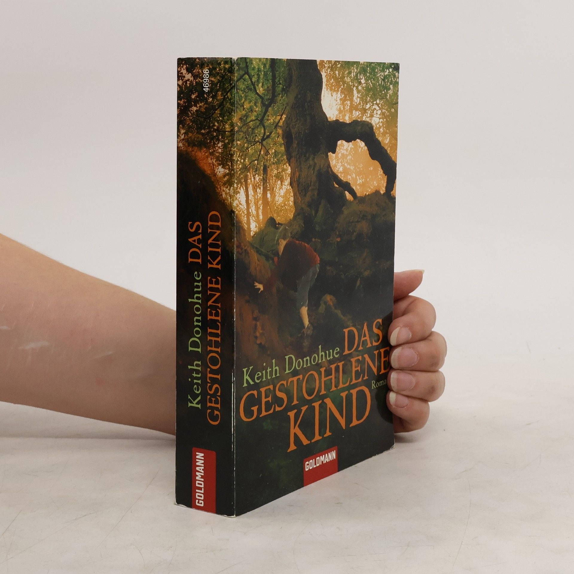 Keith Donohue Das gestohlene Kind